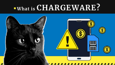 What is a Chargeware? Attacks & Examples in 2024 | Gridinsoft