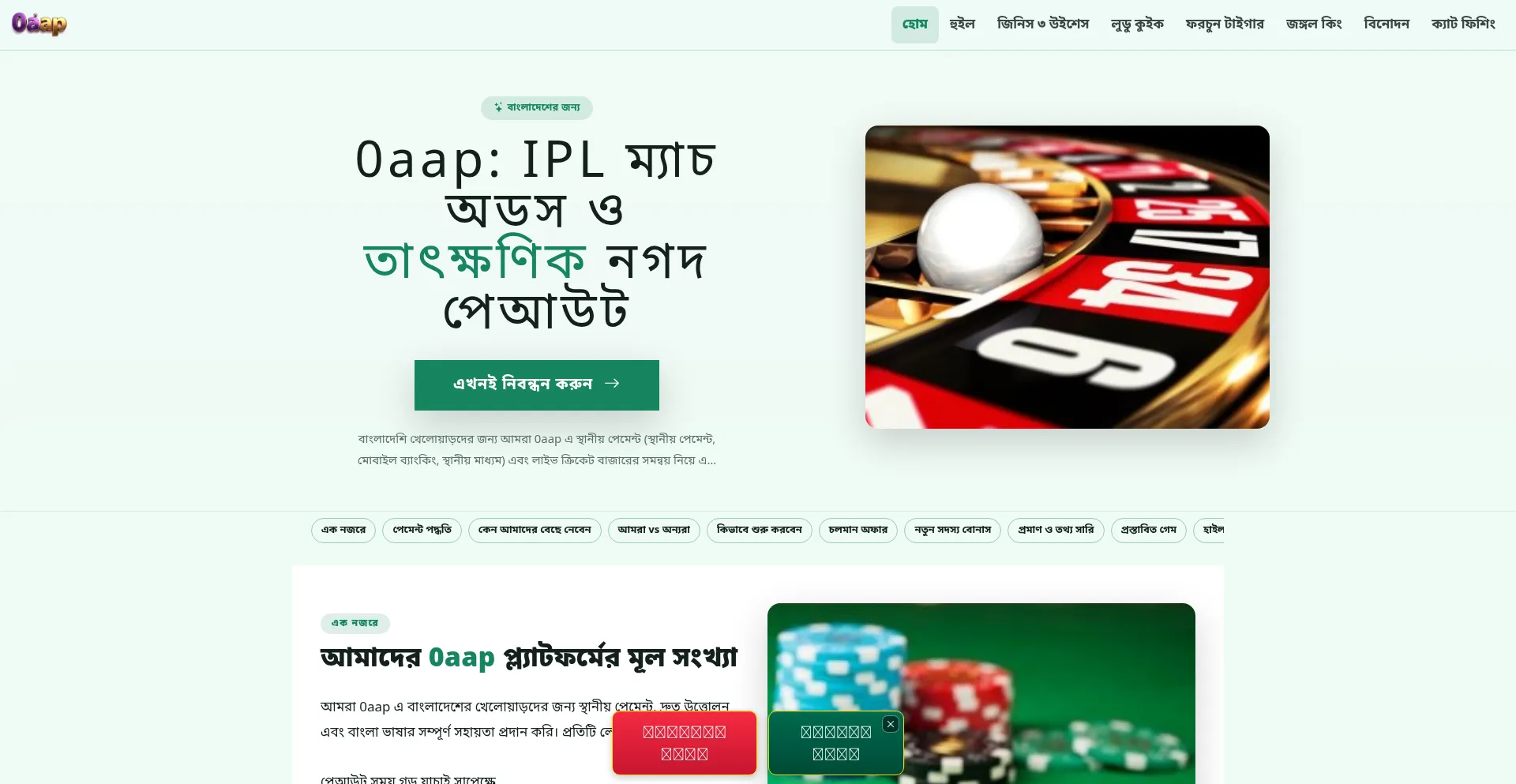 0aap.net