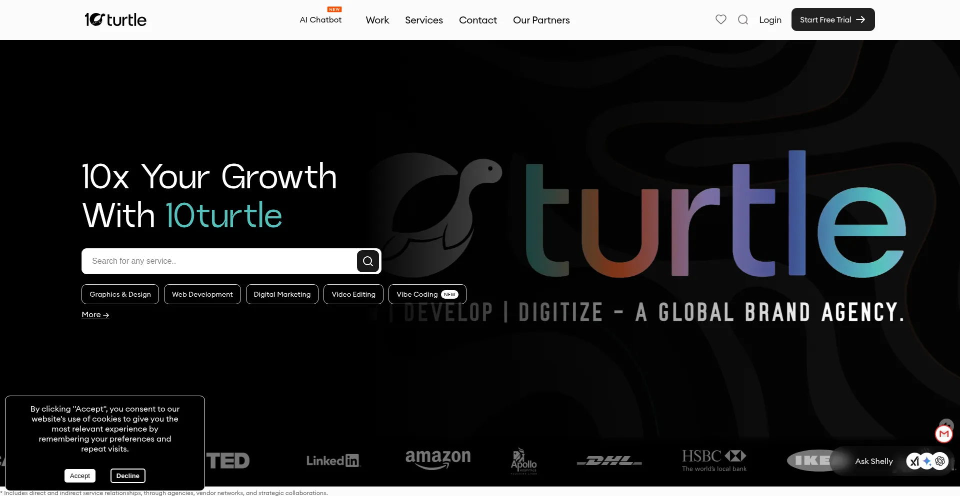 10turtle.com