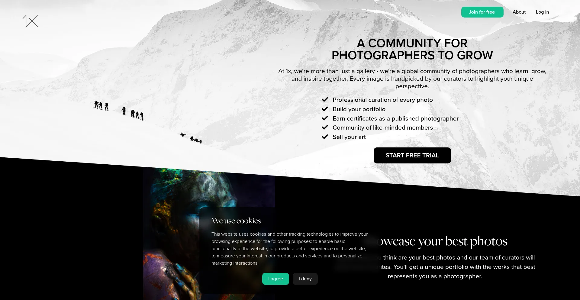 Website screenshot of 1x.com