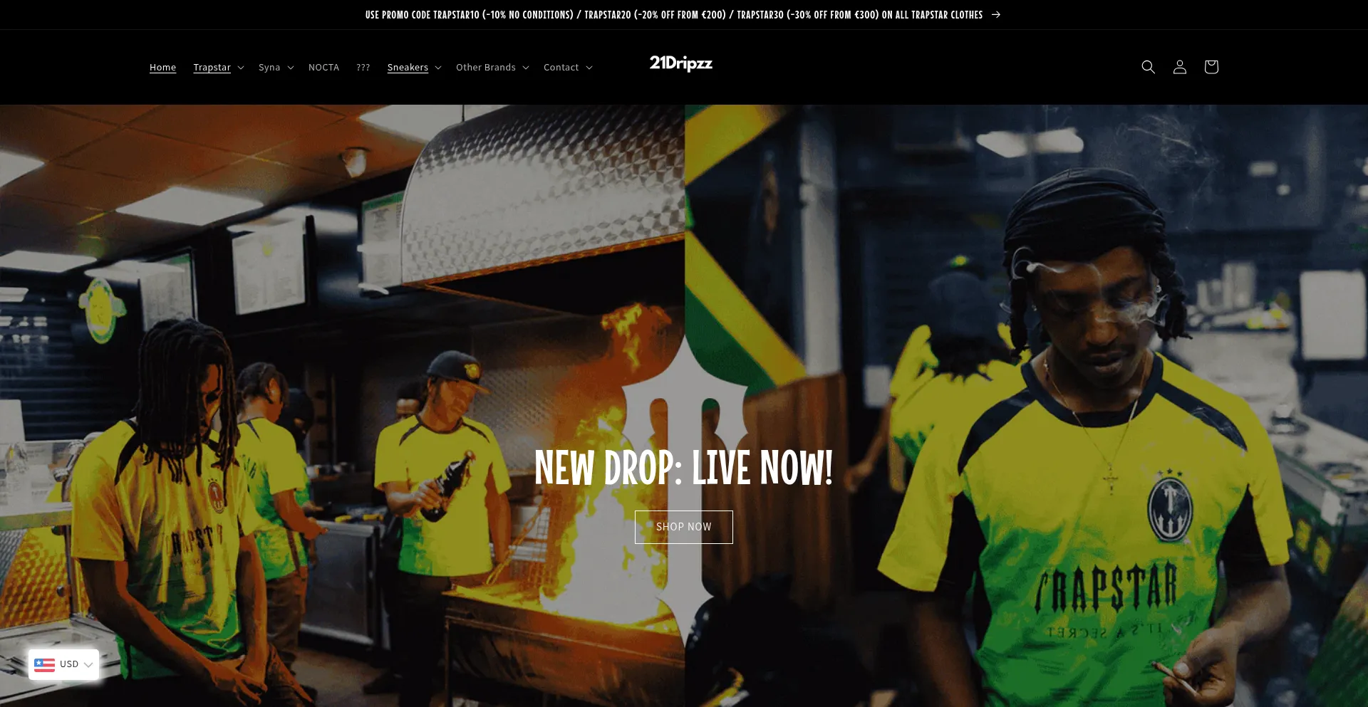 Website screenshot of 21dripzz.com