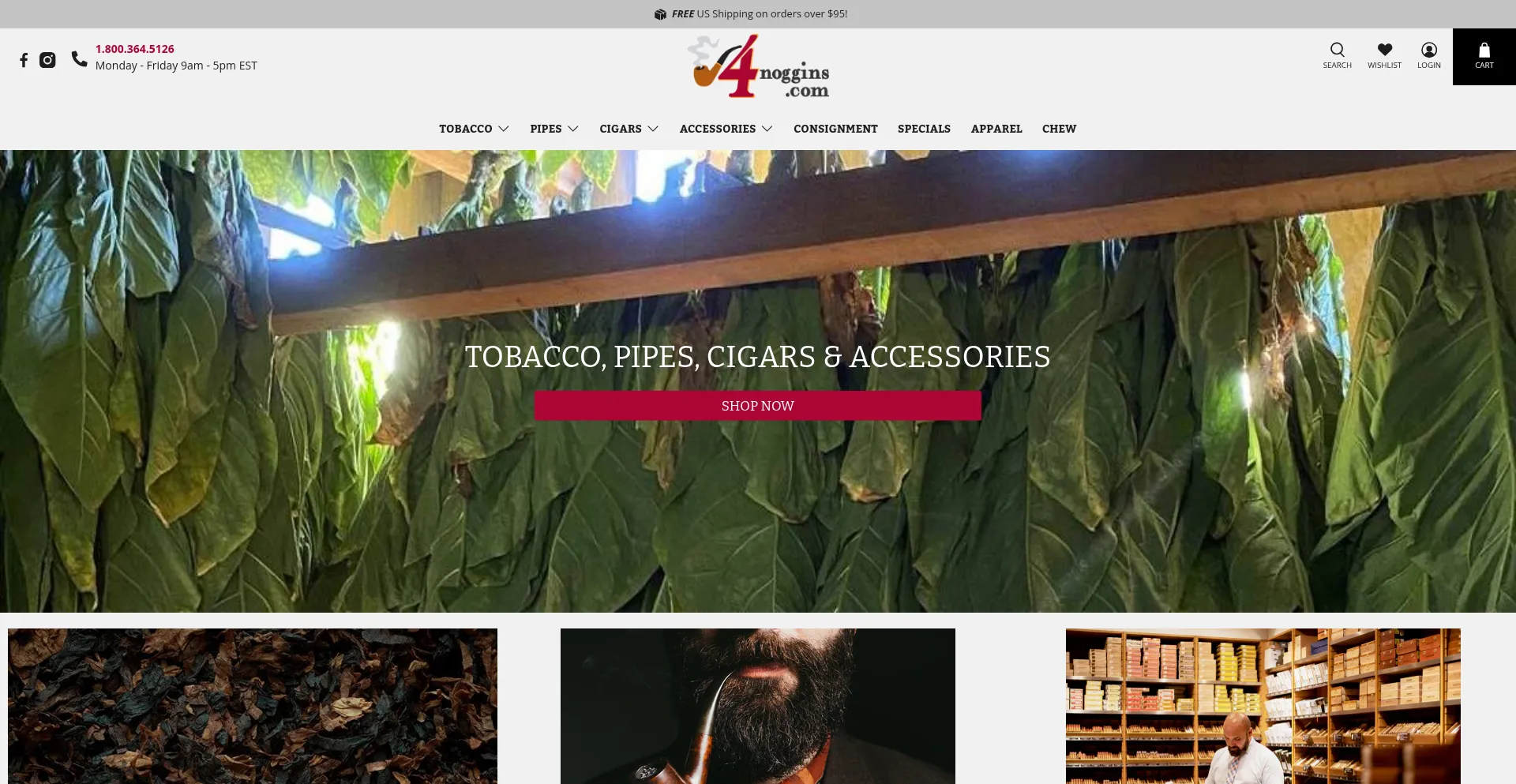 Website screenshot of 4noggins.com