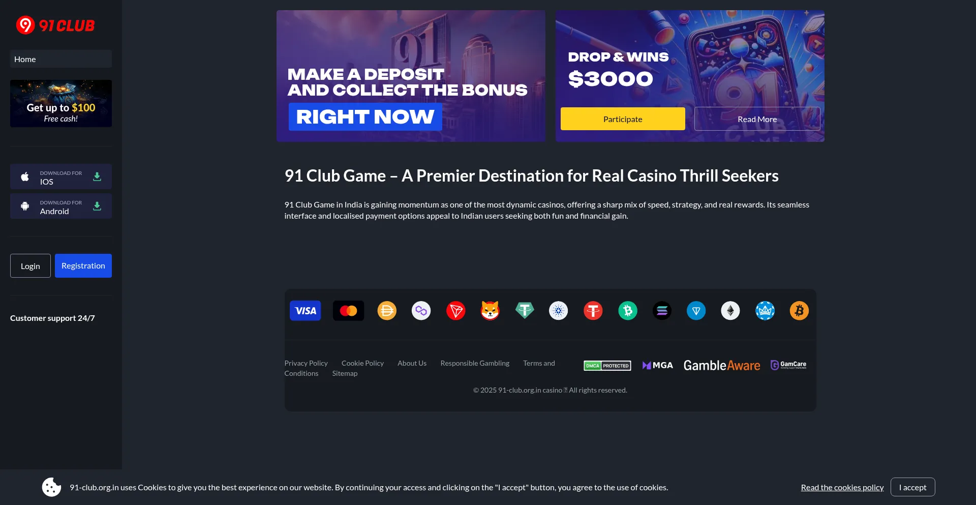 Website screenshot of 91-club.org.in