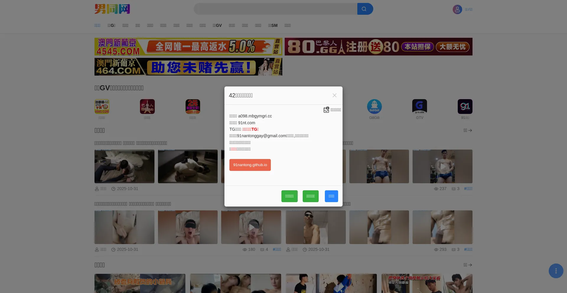 91nt.com