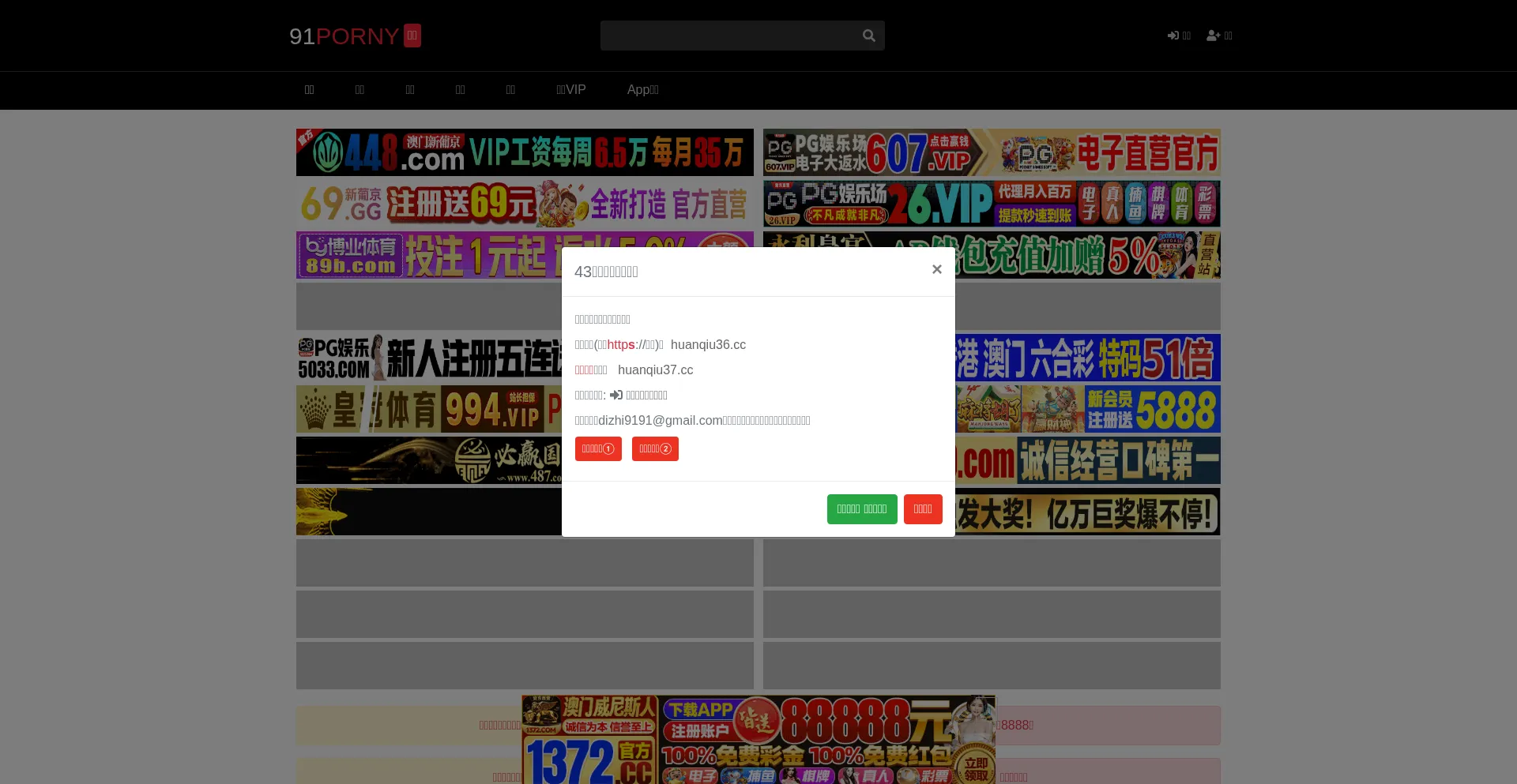 Website screenshot of 91porny.com