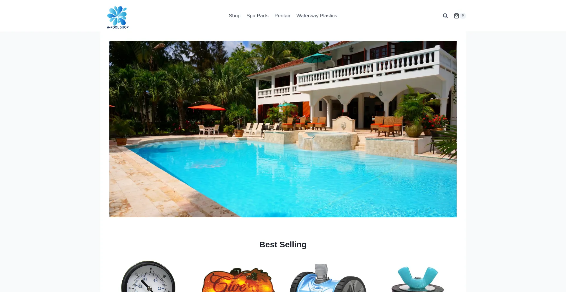 Website screenshot of A-poolshop.com