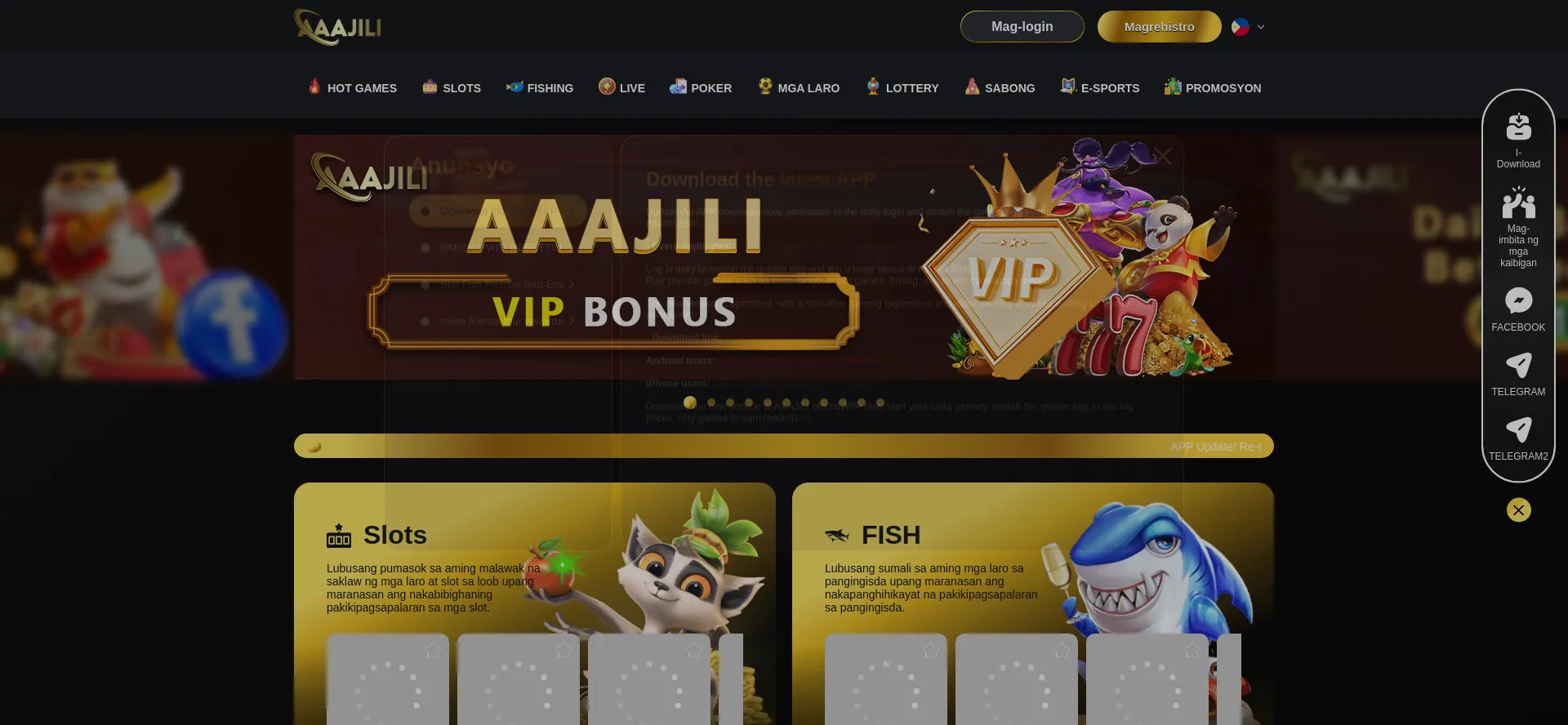 Website screenshot of Aaajili.net