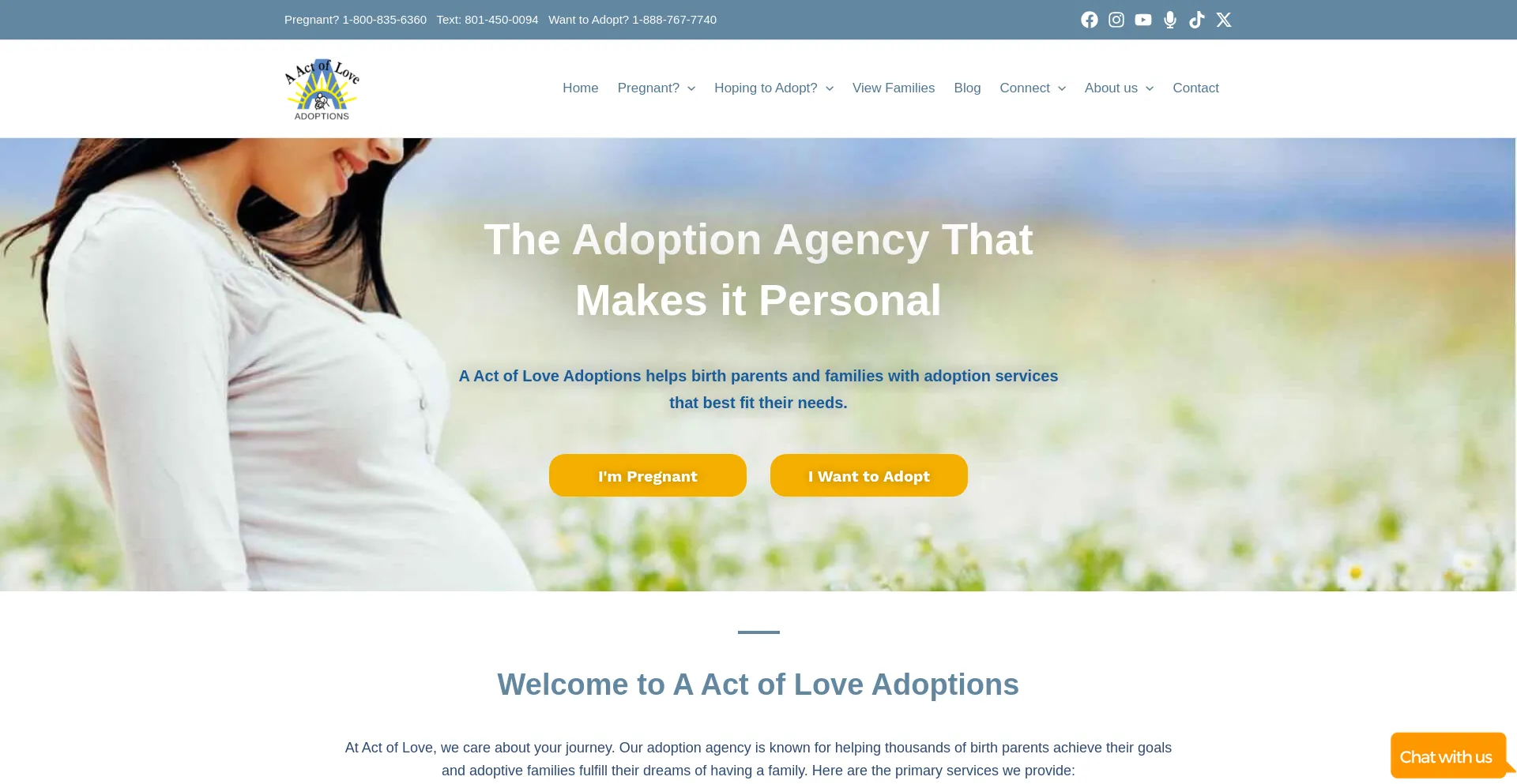 Website screenshot of Aactofloveadoptions.com