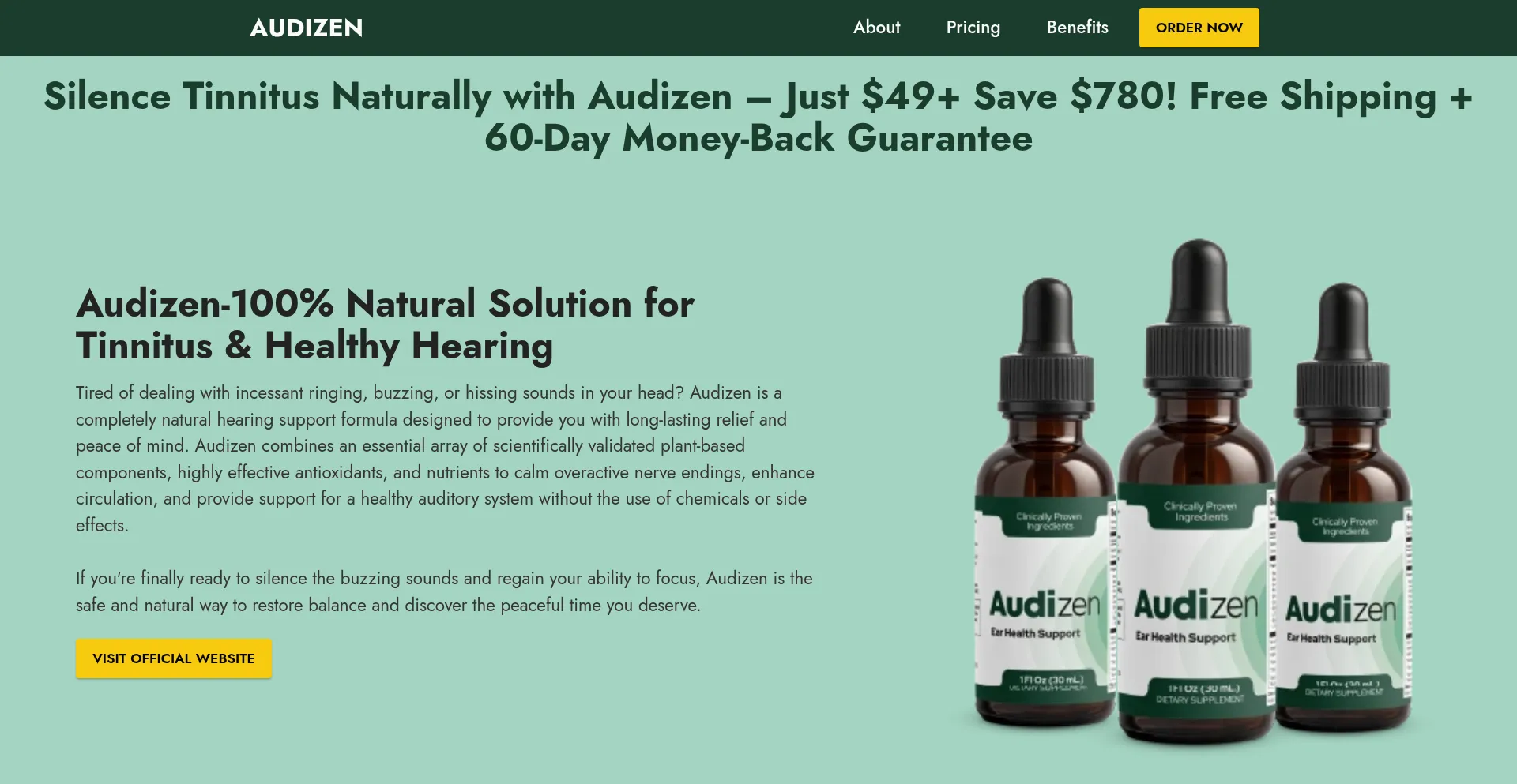 Website screenshot of Aaudizen.com