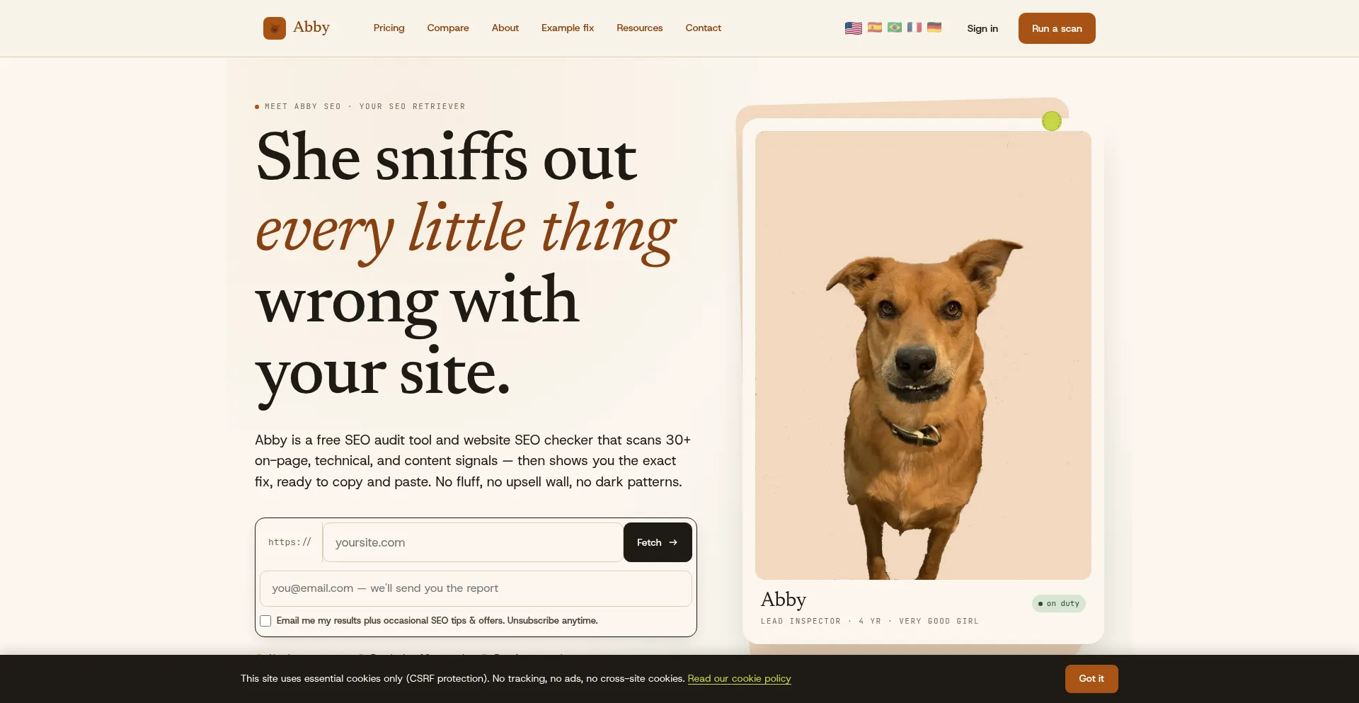 Abbyseo.com