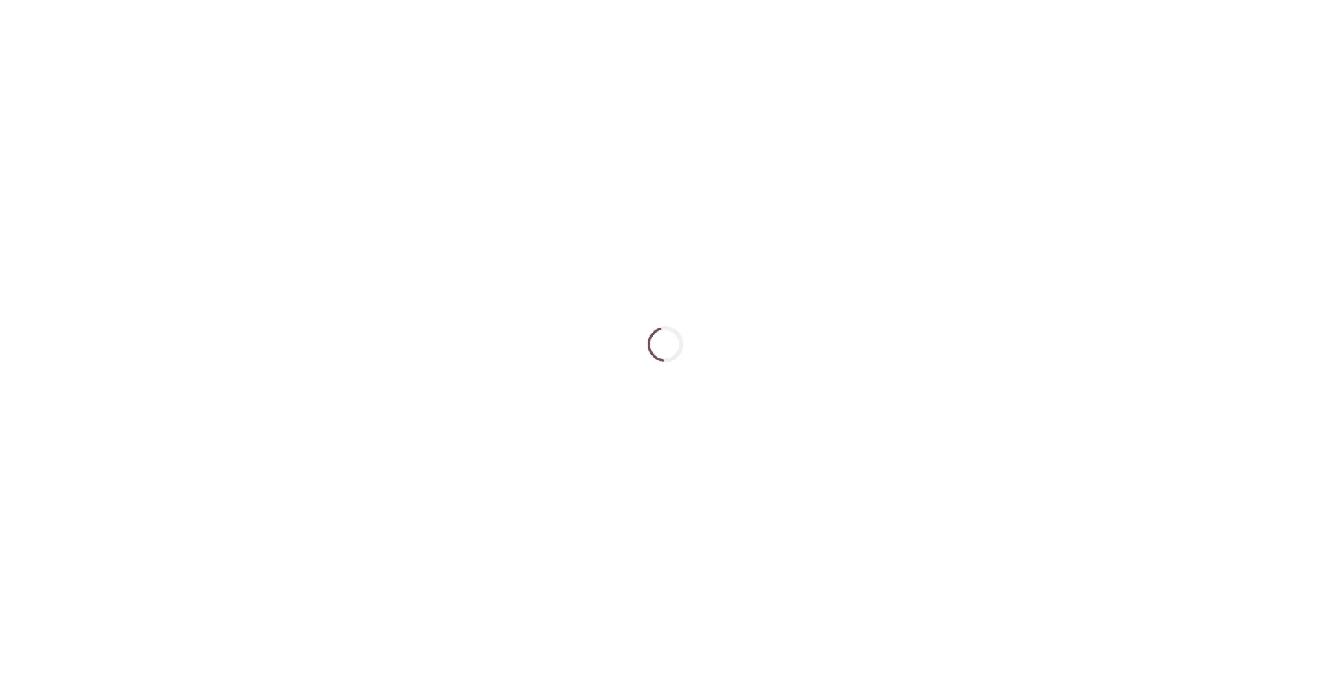 Website screenshot of Abidss.com