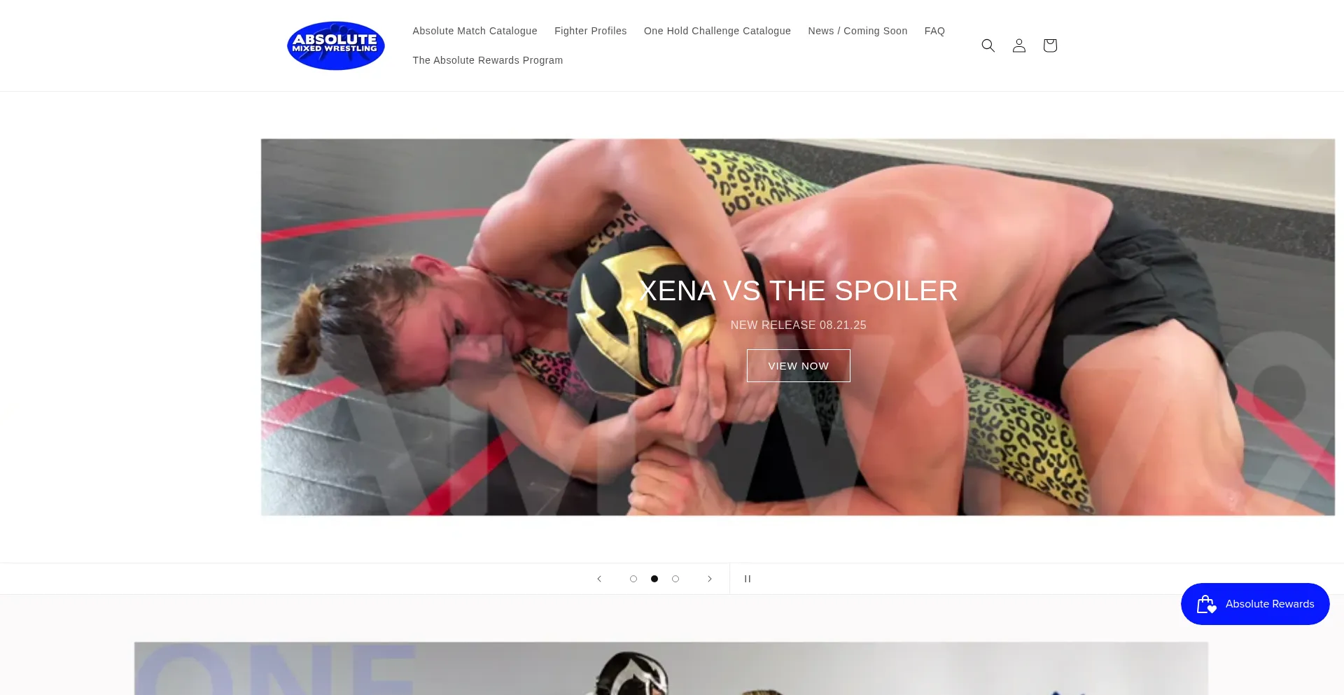 Website screenshot of Absolutemixedwrestling.com