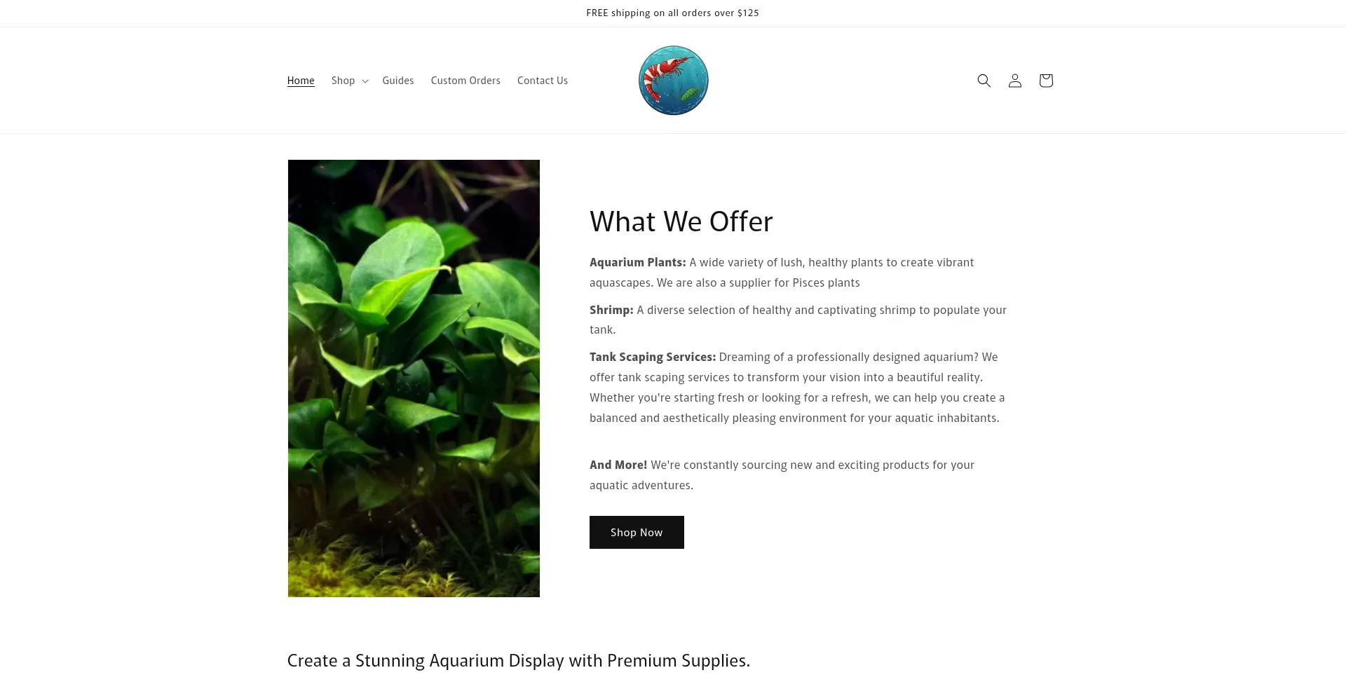 Website screenshot of Acaquariums.com.au