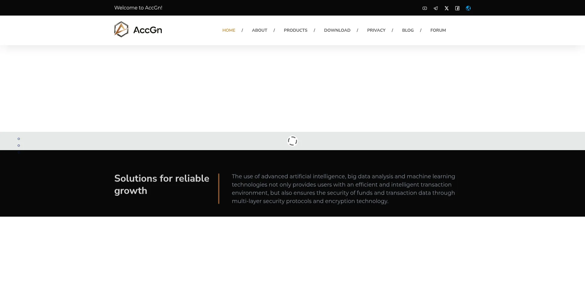 Website screenshot of Acc.accgn.com