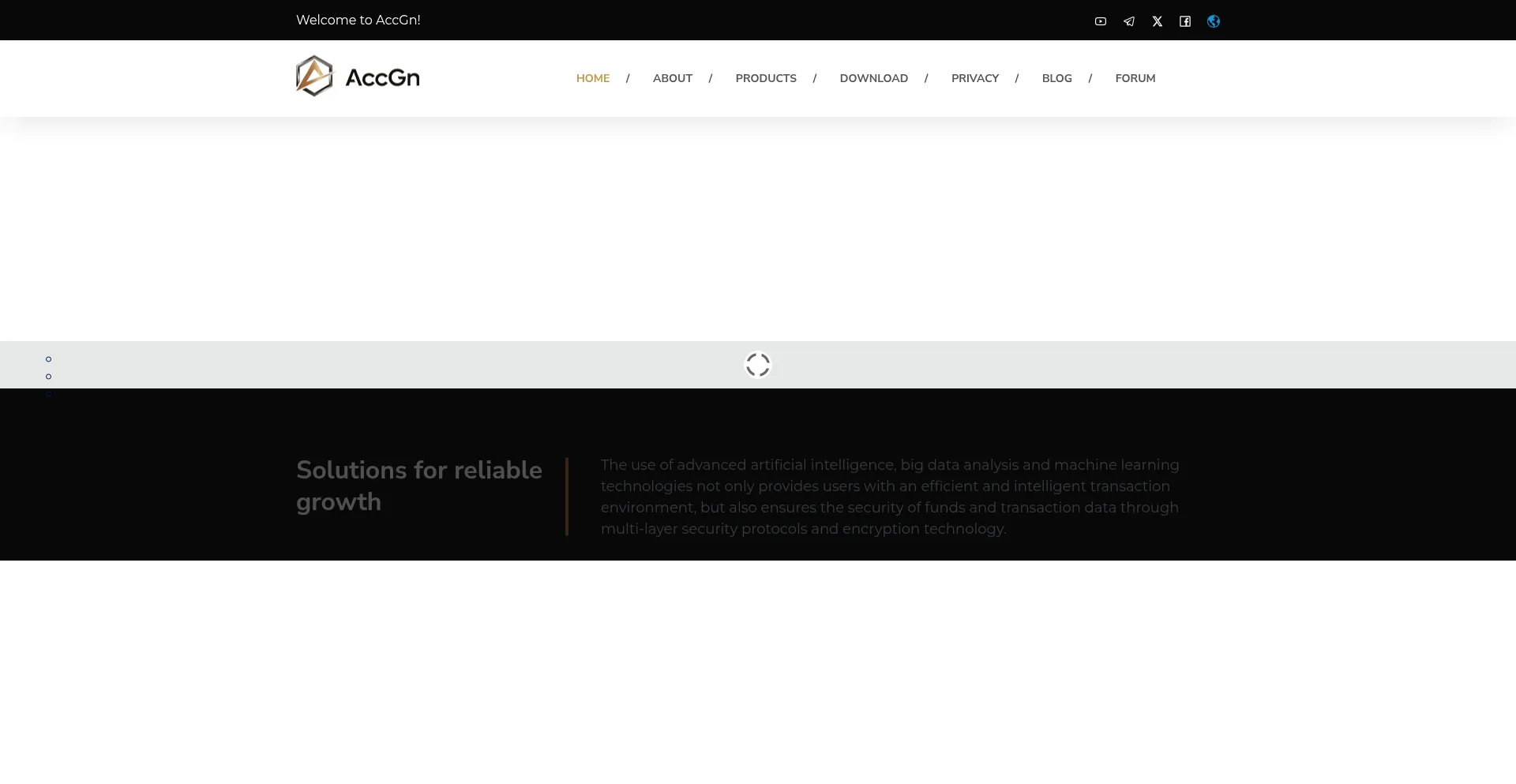 Website screenshot of Acc.accgn.net