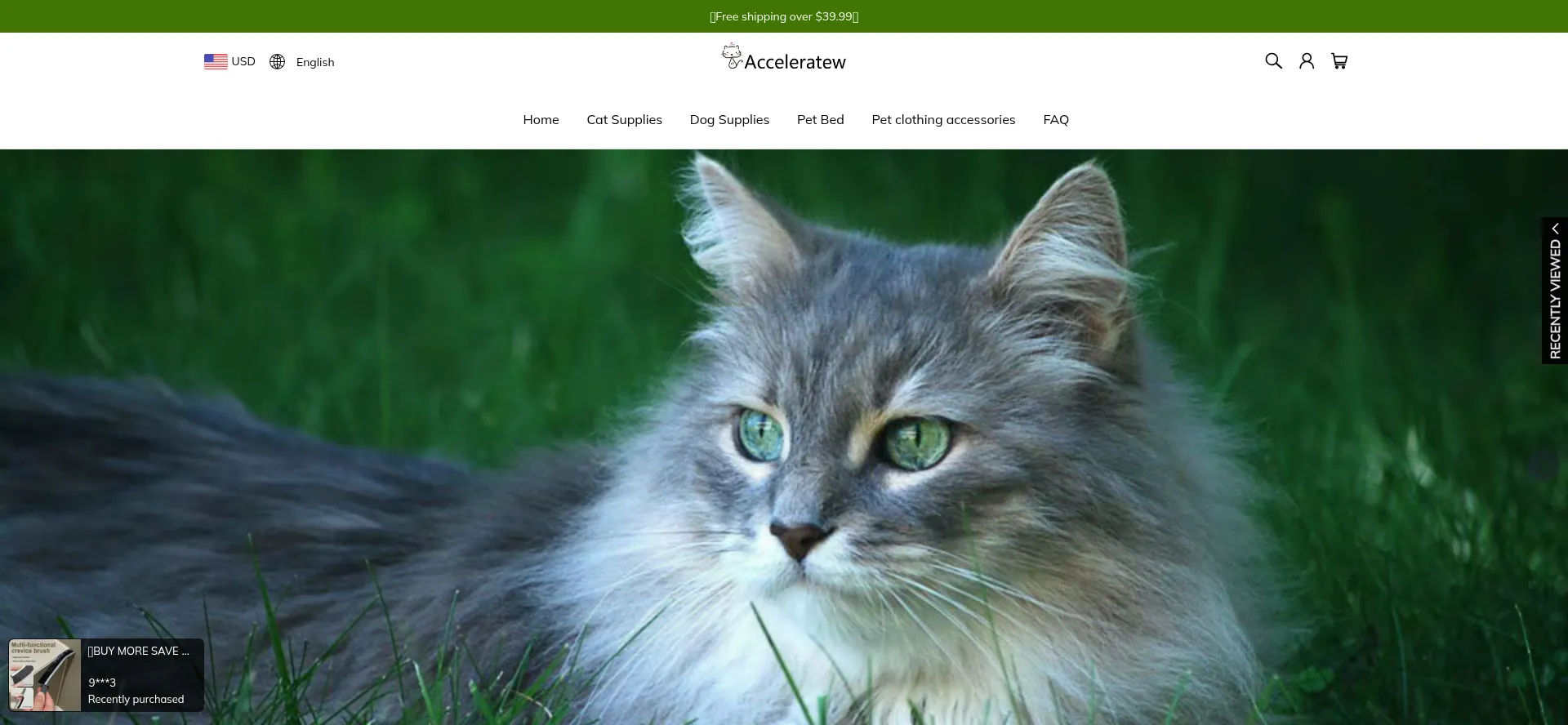 Acceleratew.com