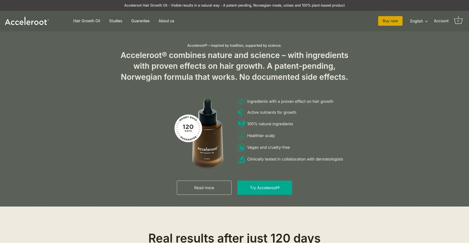 Website screenshot of Acceleroot.com