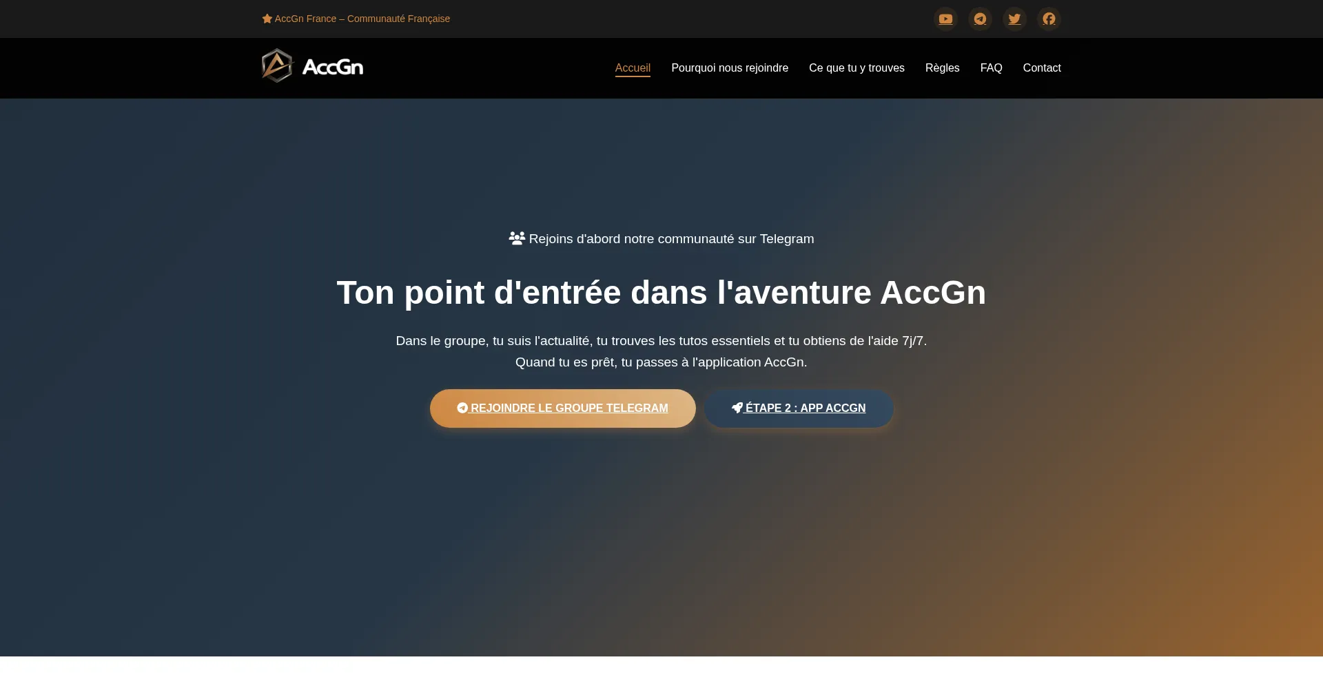 Website screenshot of Accgn.eu