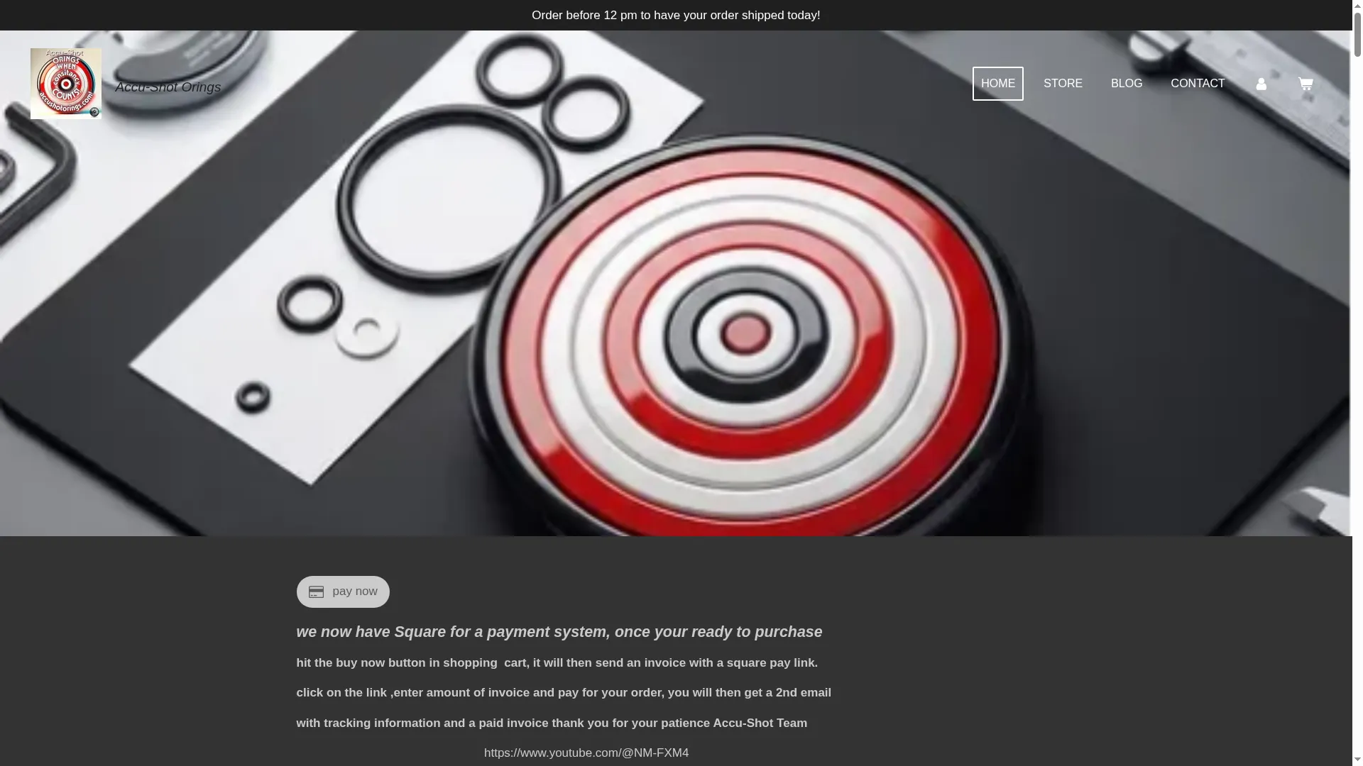 Accu-shot-orings.com