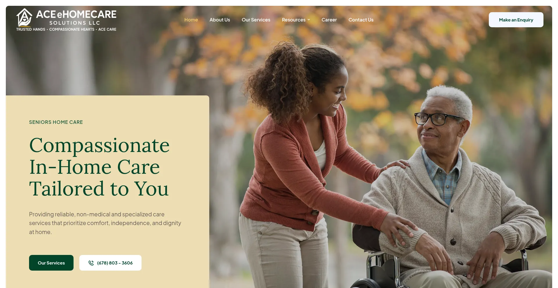 Website screenshot of Aceehomecaresolutions.com