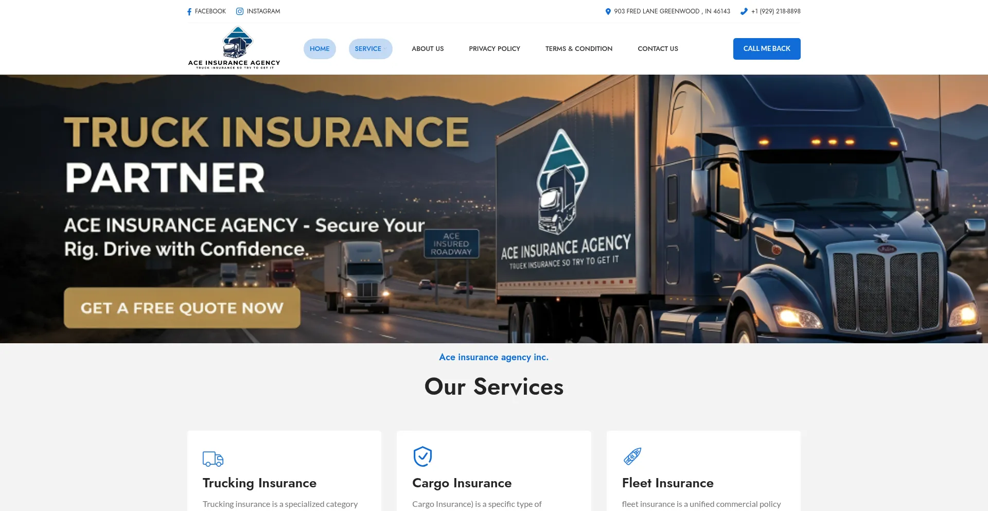Aceinsures.com
