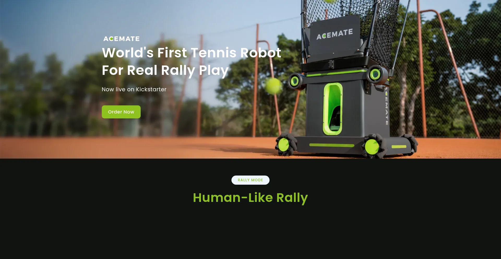 Website screenshot of Acematetennis.com