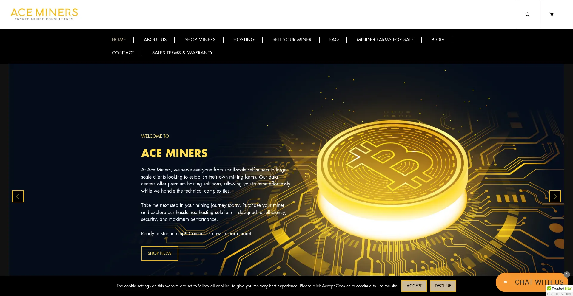 Website screenshot of Aceminers.io