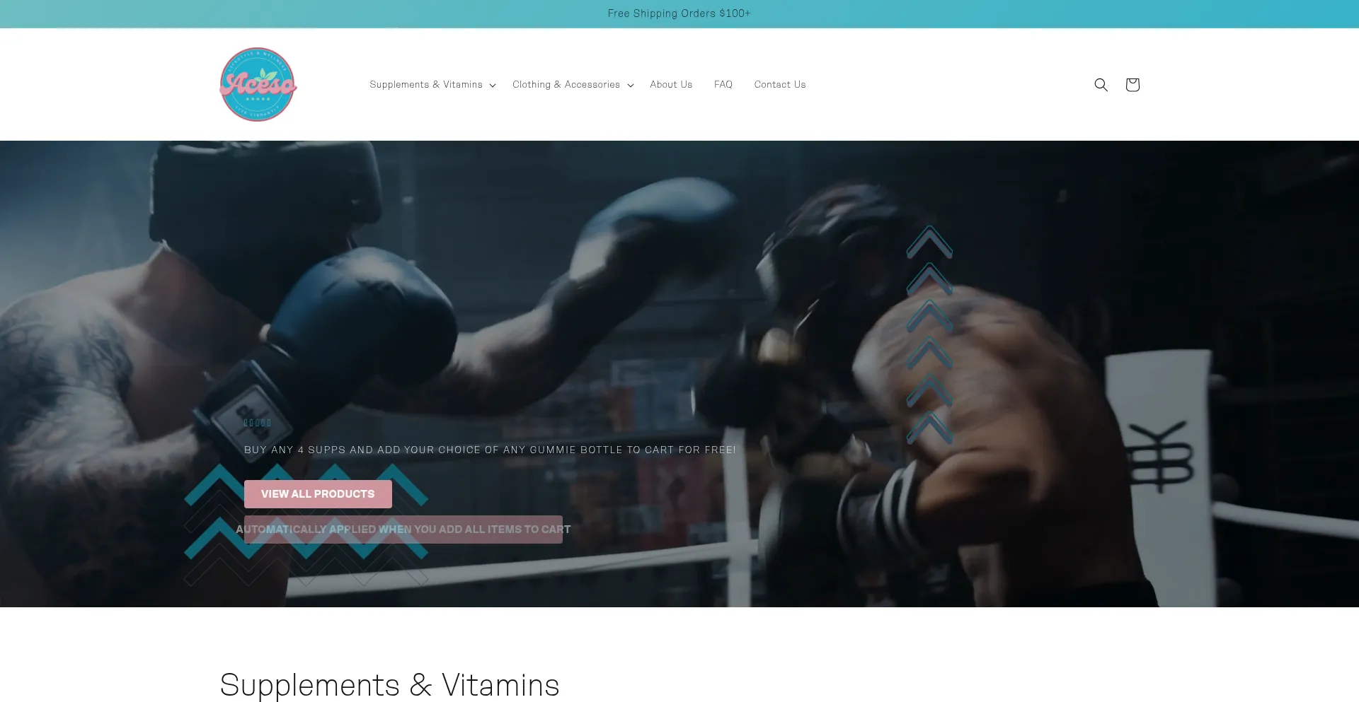 Website screenshot of Aceso.life