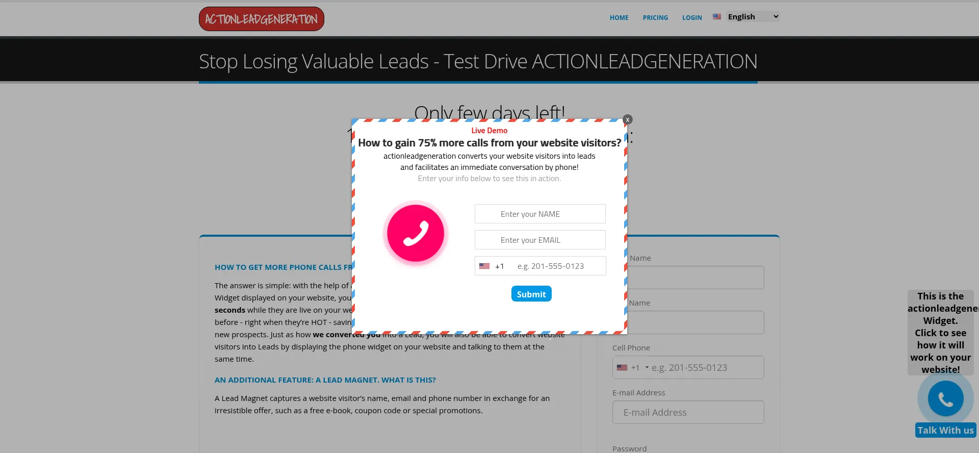 Website screenshot of Actionleadgeneration.com