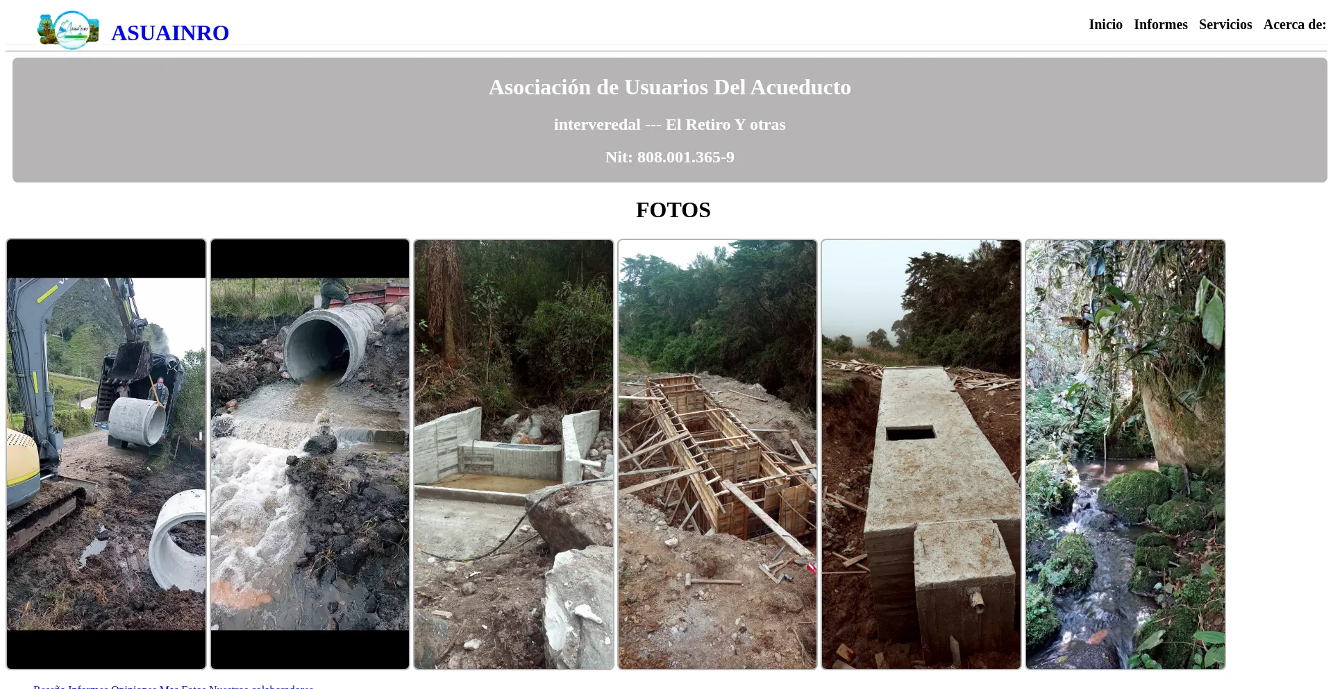 Website screenshot of Acueductoasuainro.com