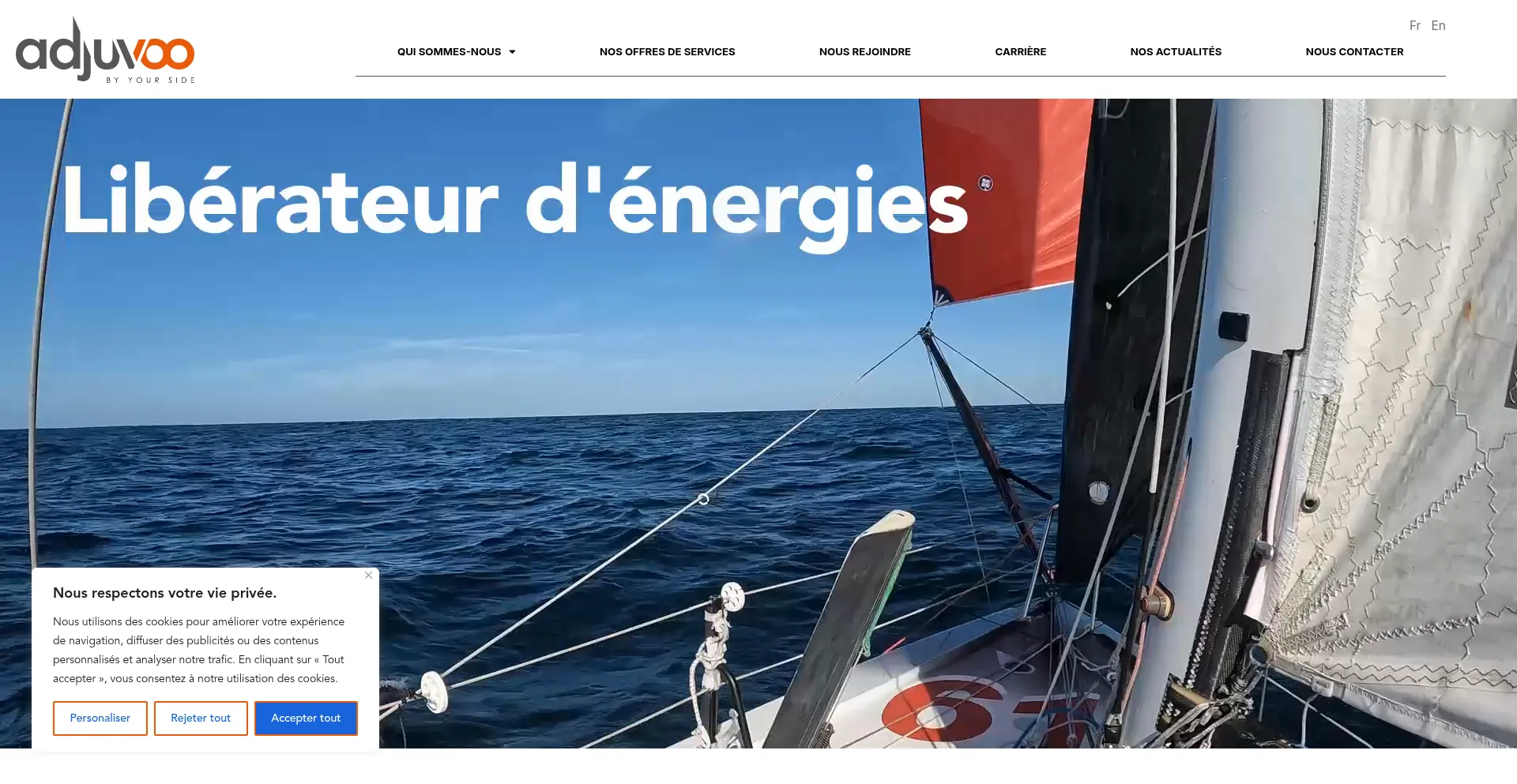 Website screenshot of Adjuvoo.com
