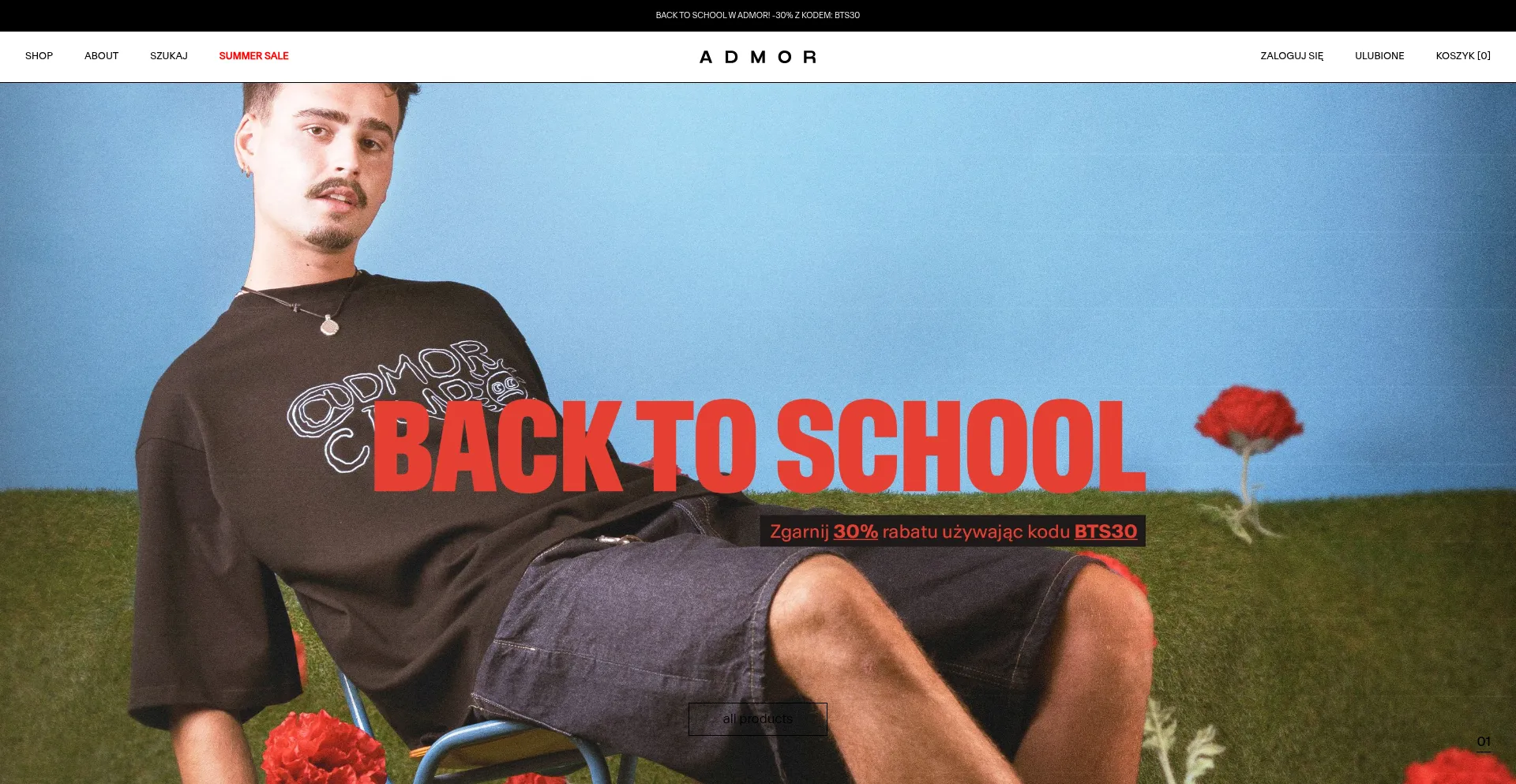 Website screenshot of Admor.co