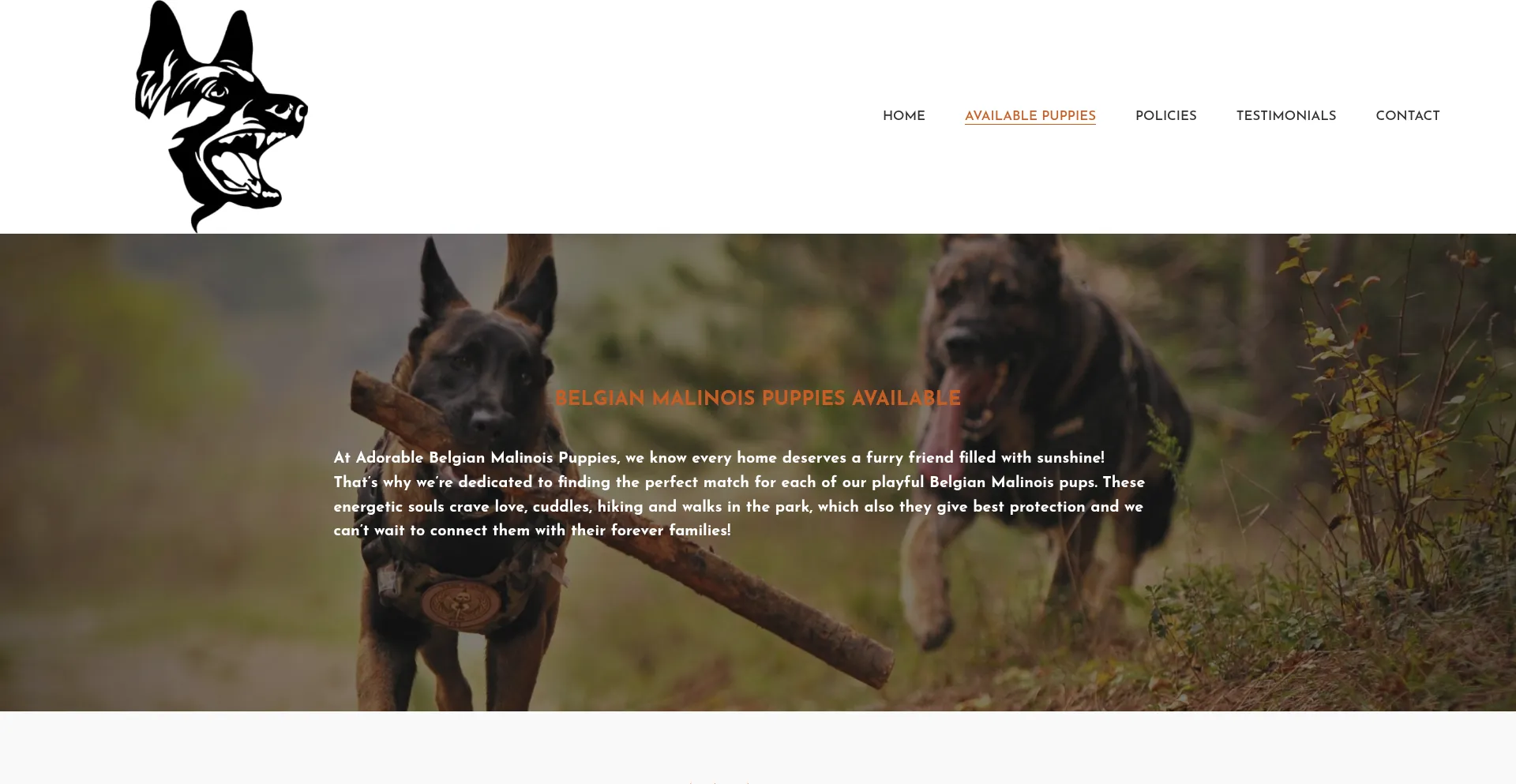 Adorablebelgianmalinoispuppies.com