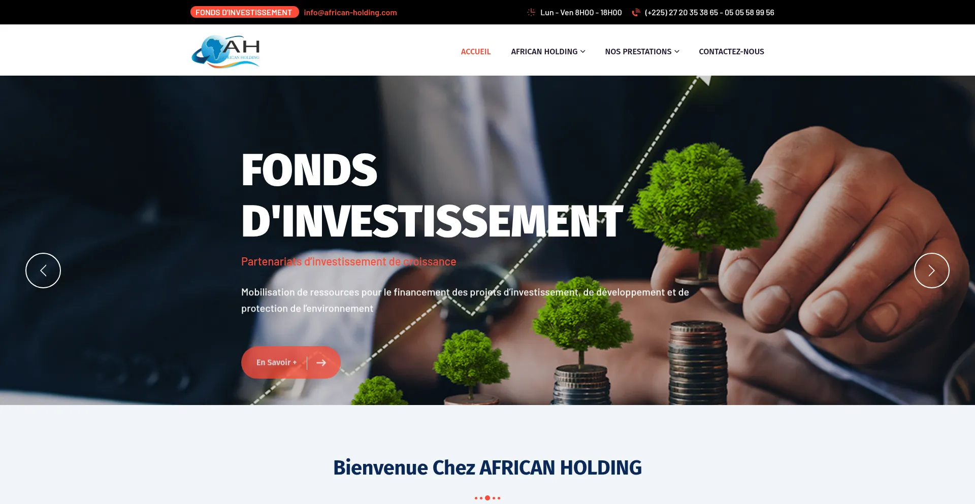 African-holding.com