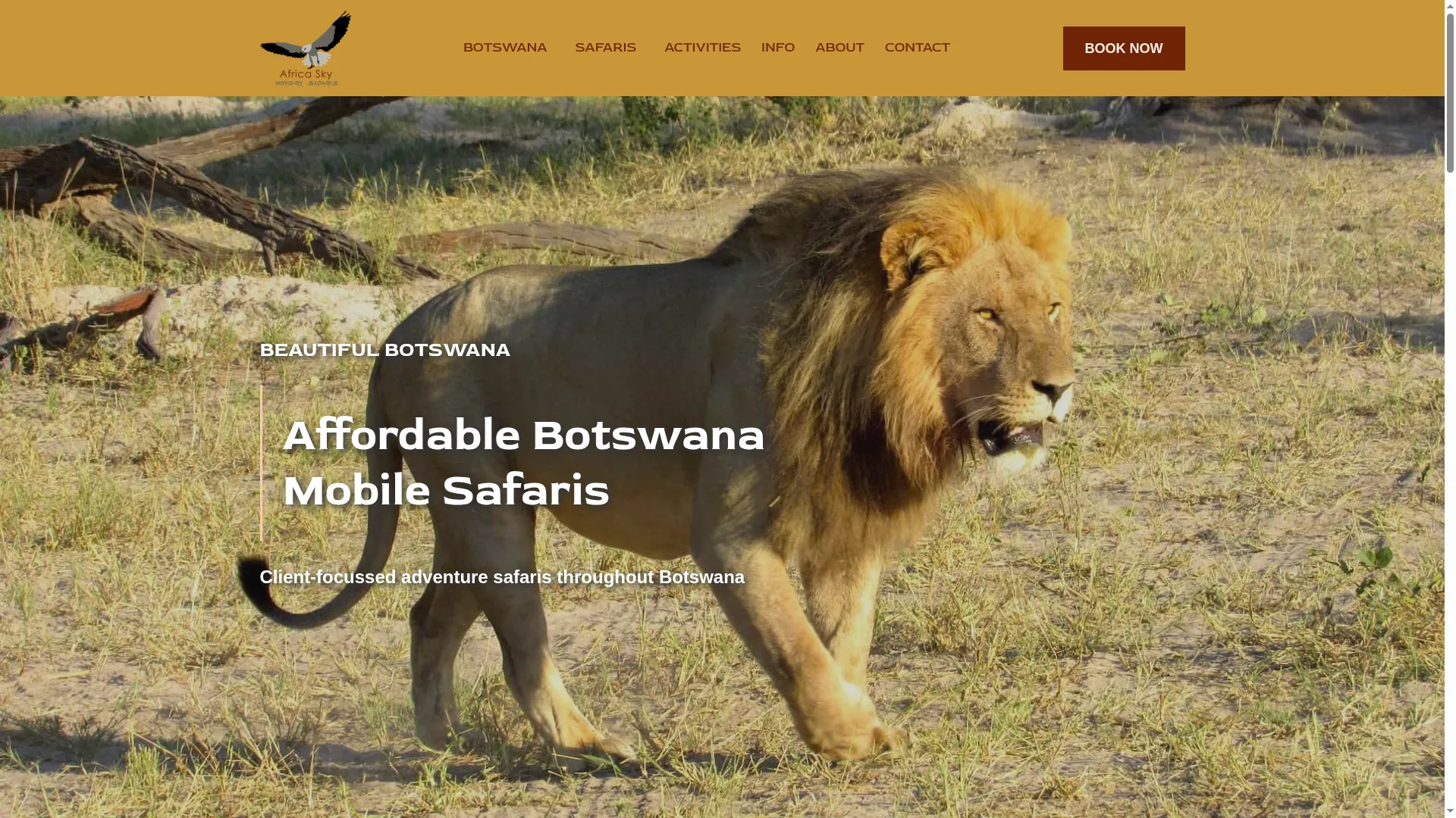 Africaskyhovery.com