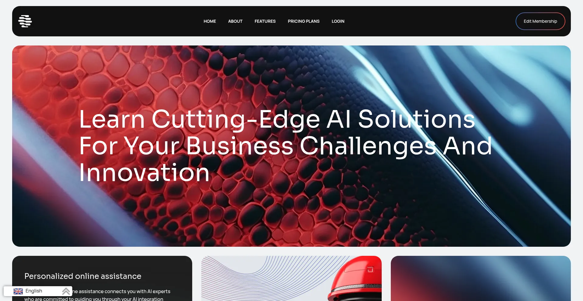 Aibizoptimize.com