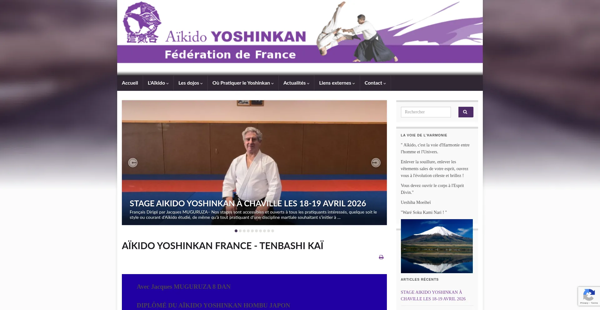 Aikido-yoshinkan-france.fr
