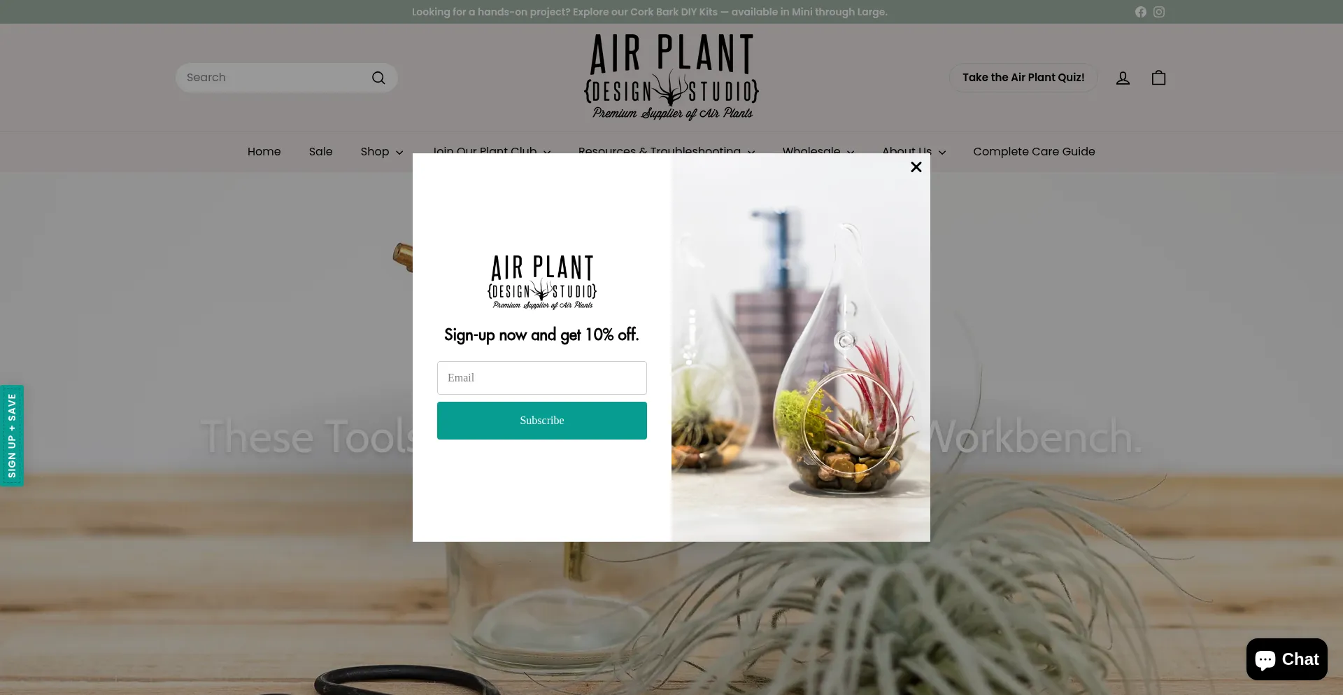 Air-plants.com