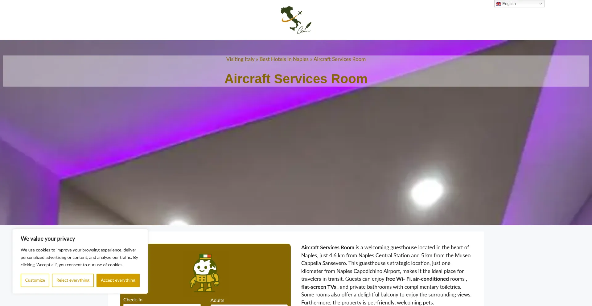 Website screenshot of Aircraft-services-room.dreaminginrome.com