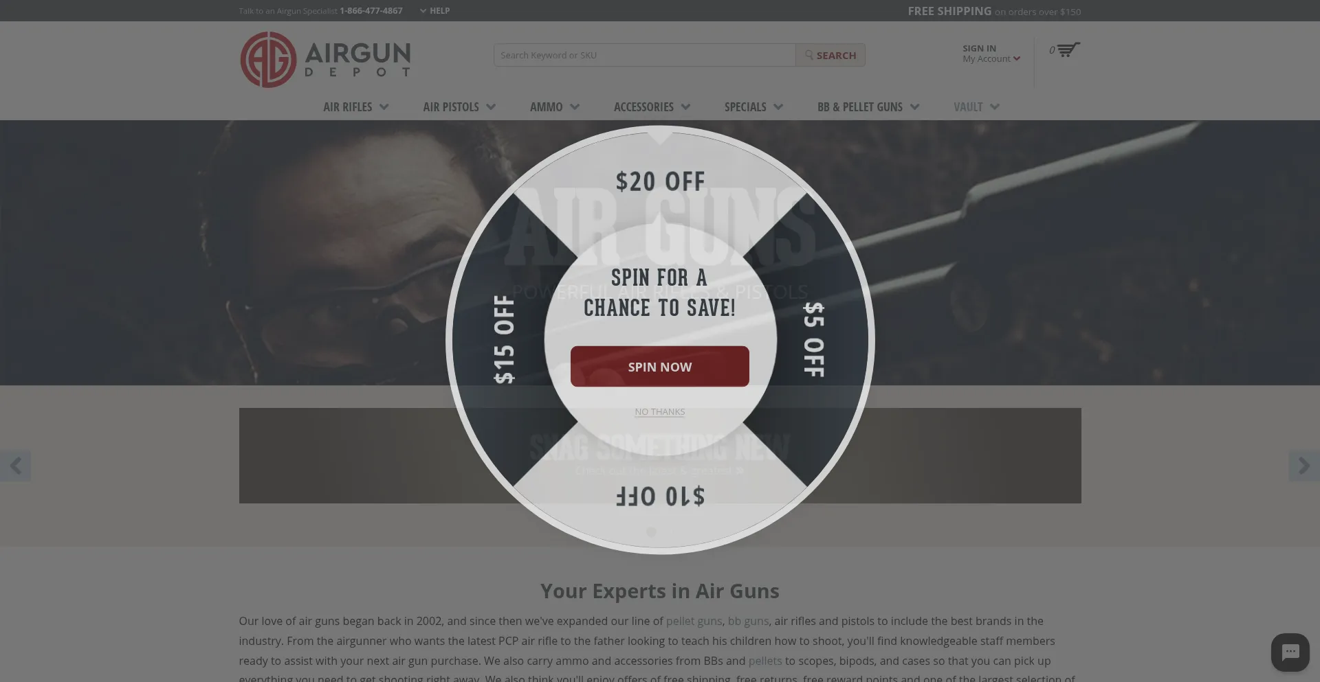 Website screenshot of Airgundepot.com