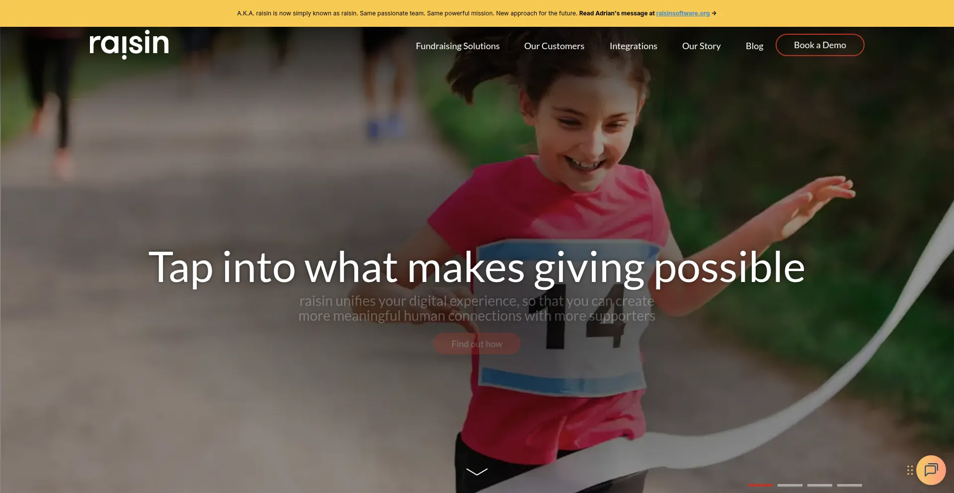 Website screenshot of Akaraisin.com