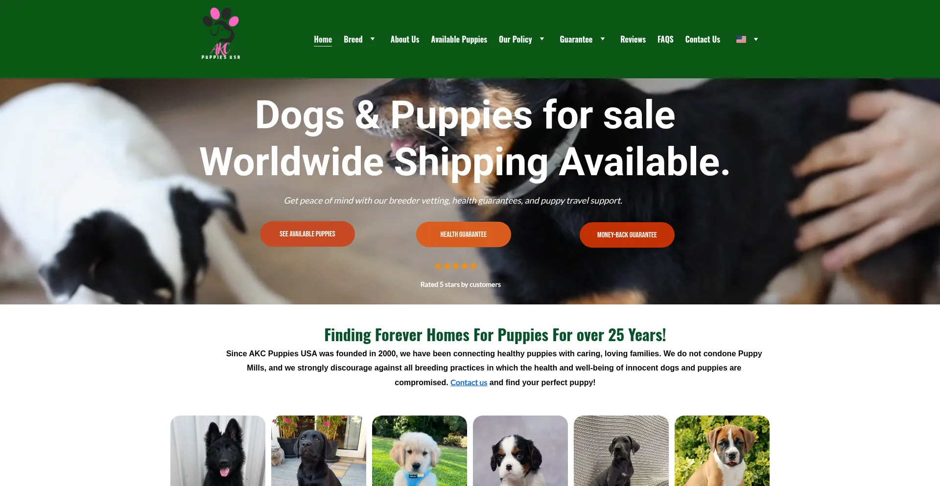 Akcpuppiesusa.com
