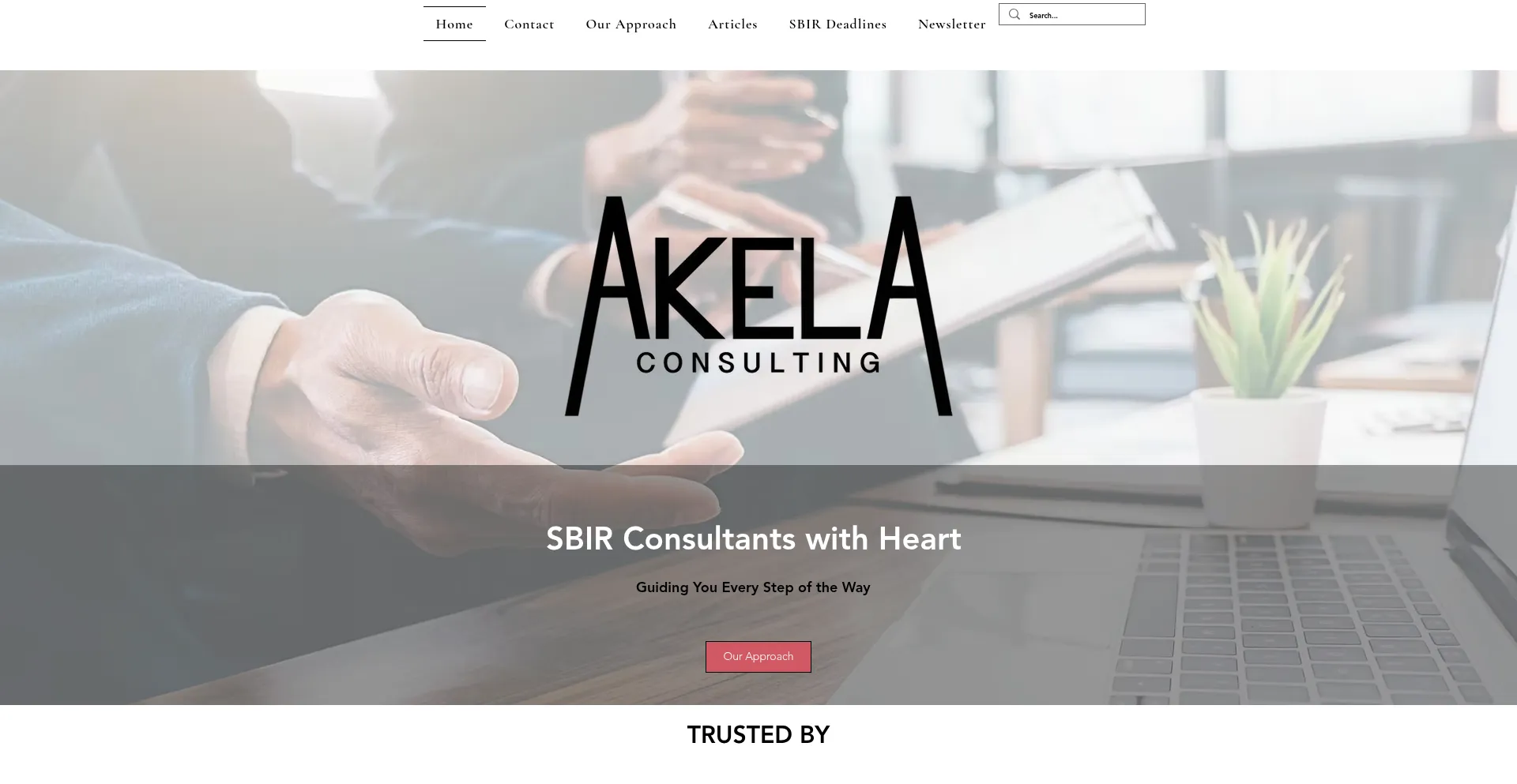Akelaconsultants.com