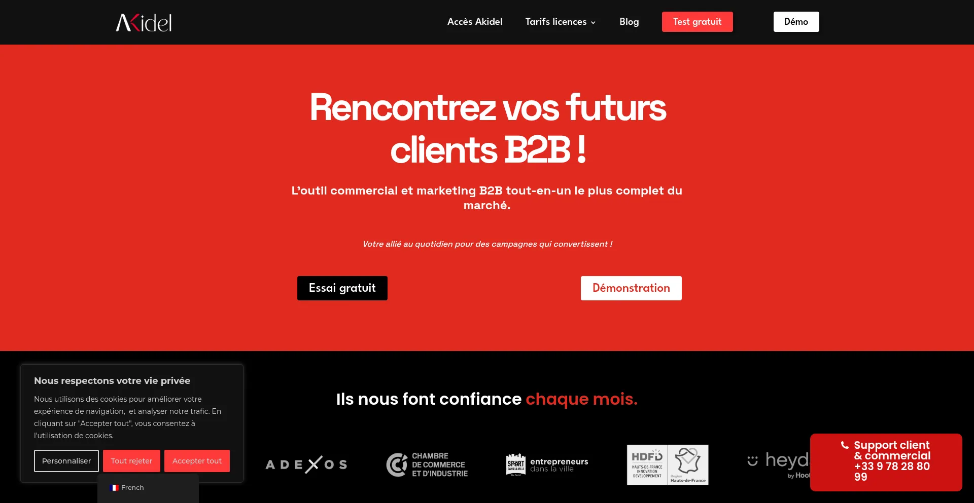 Website screenshot of Akidel.eu