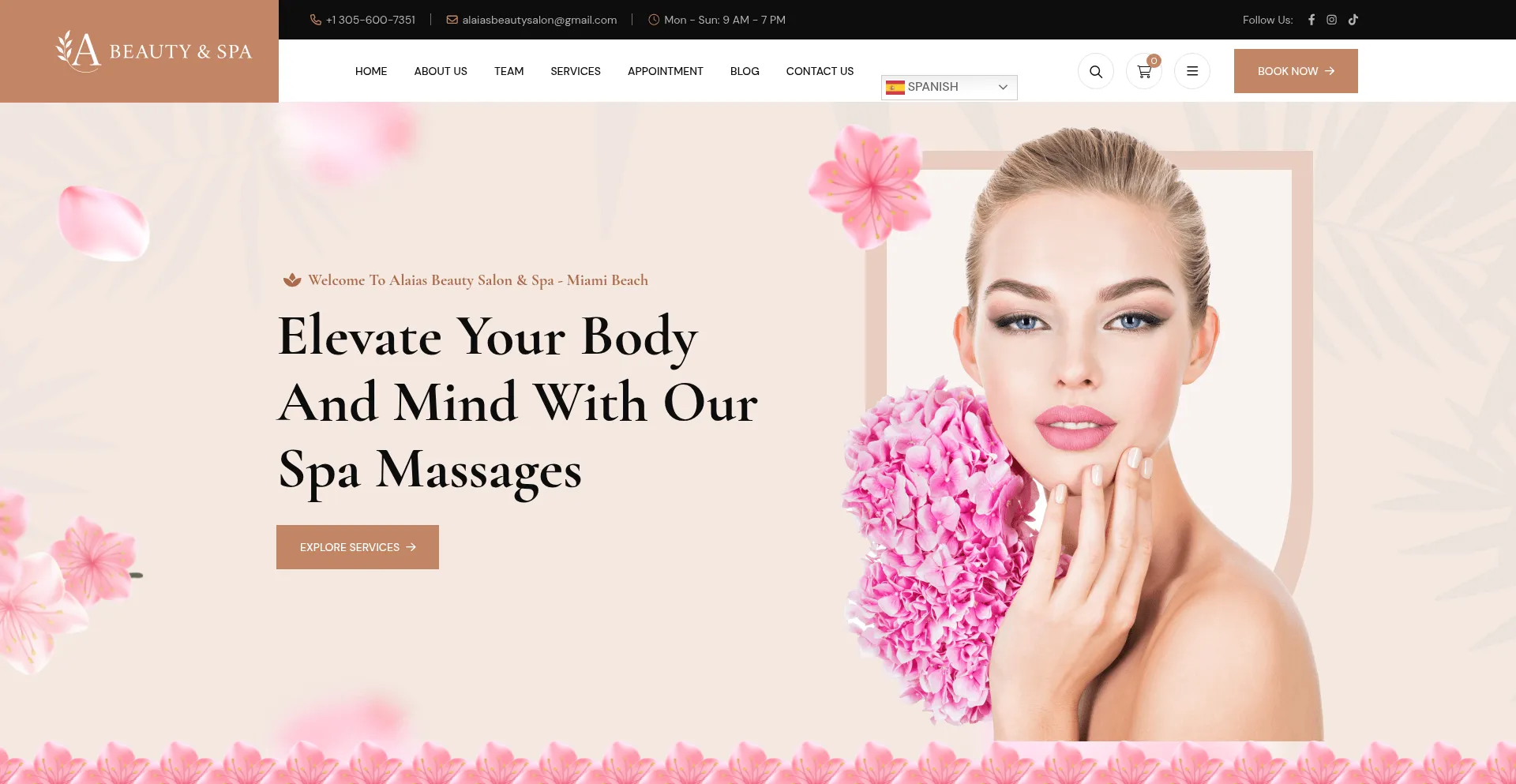 Alaiasmiamibeach.com