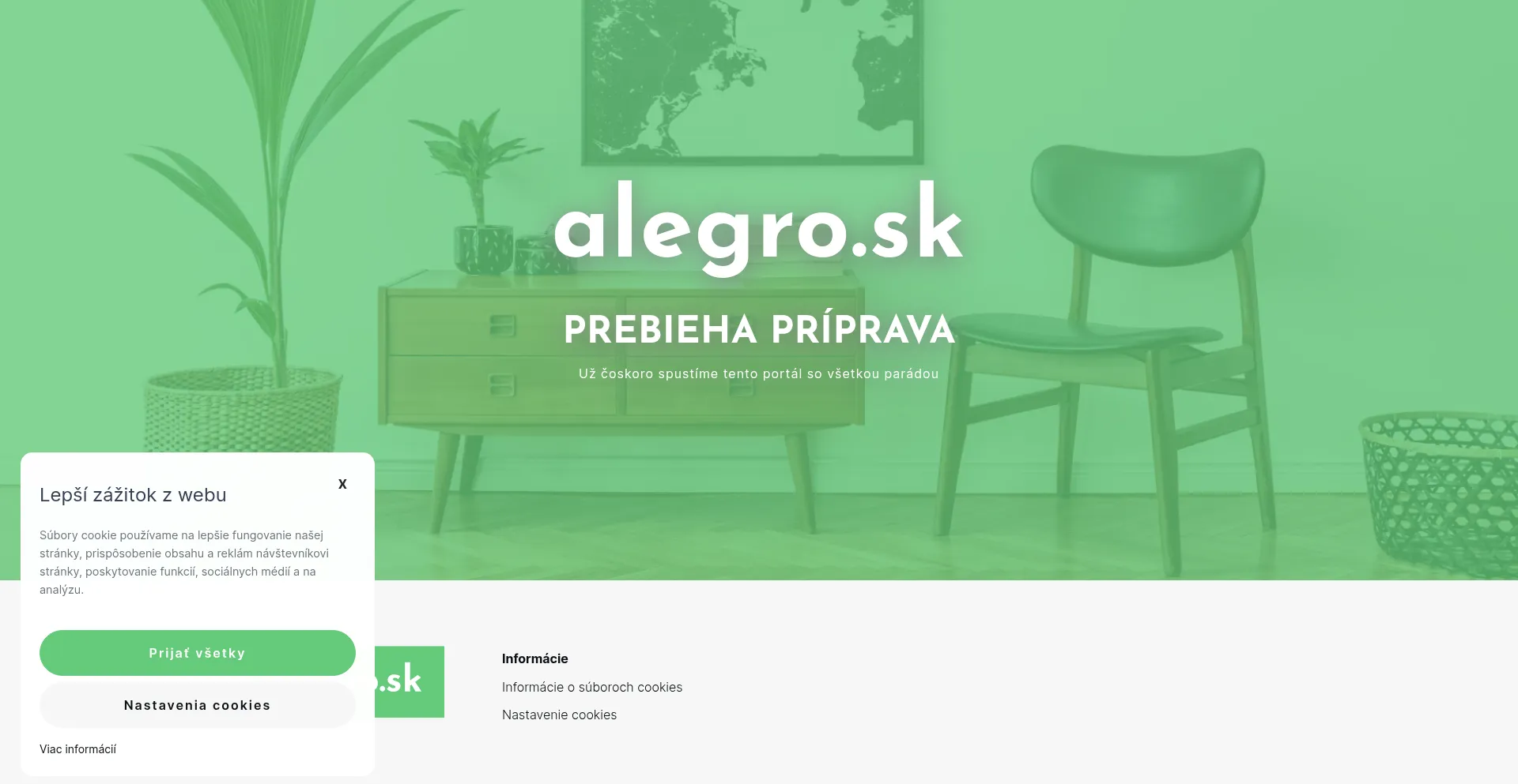 Website screenshot of Alegro.sk