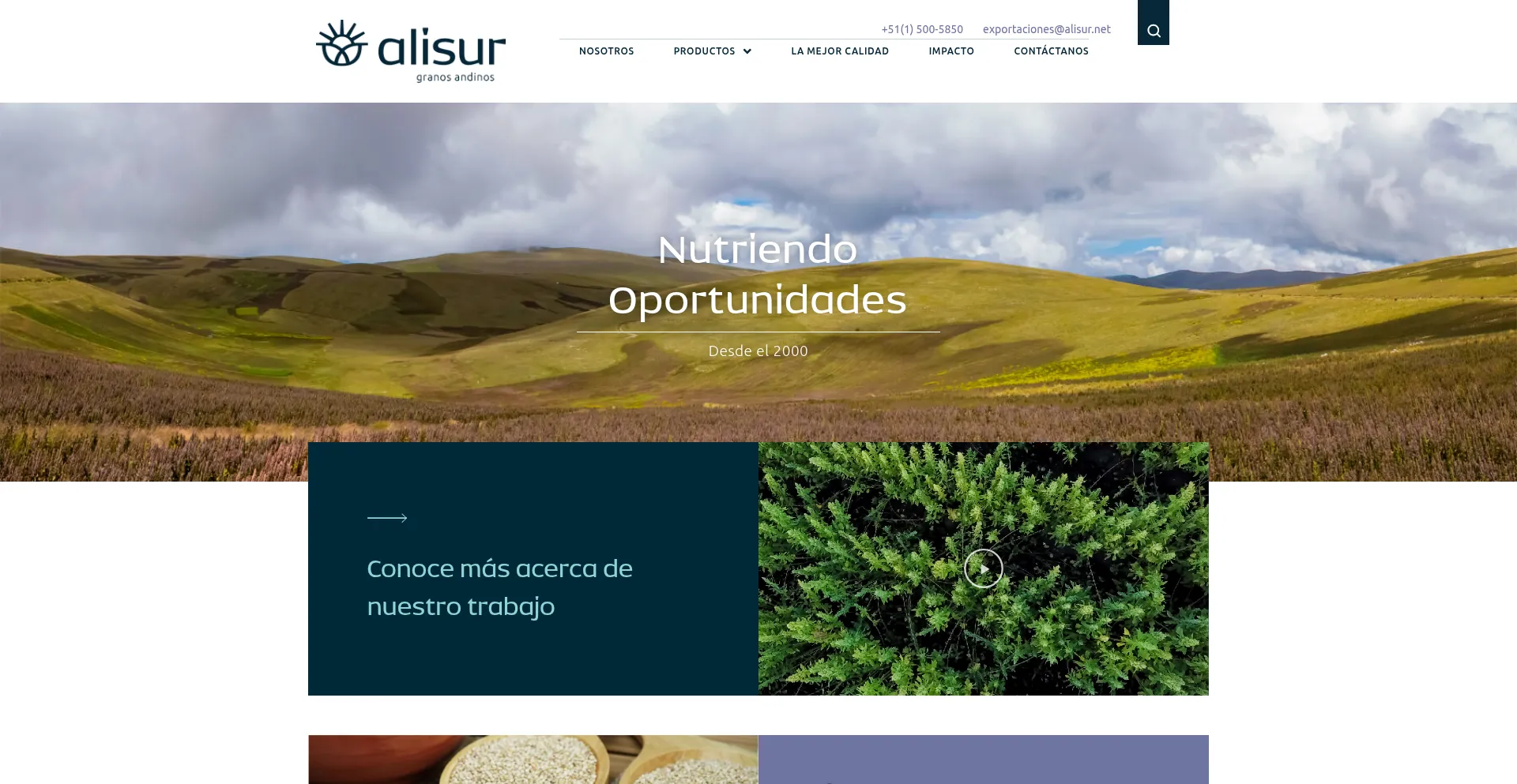 Alisur.net