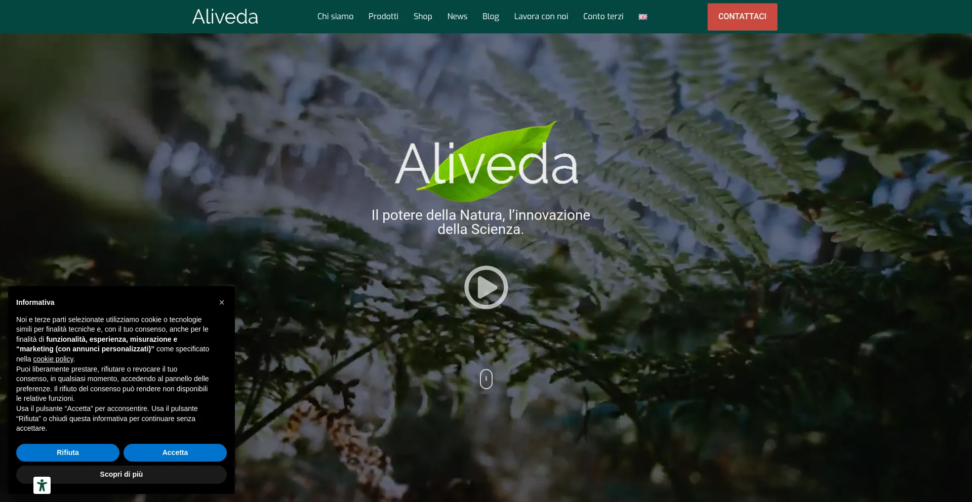 Website screenshot of Aliveda.com