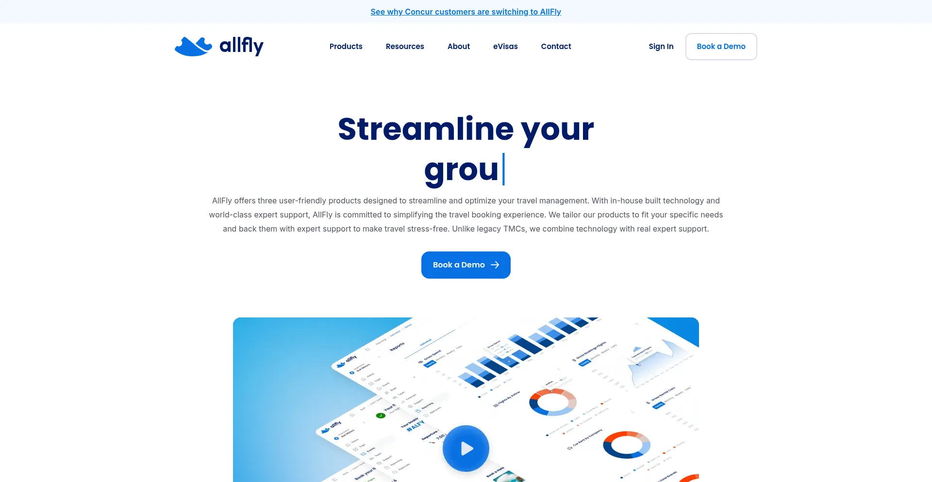 Website screenshot of Allfly.io