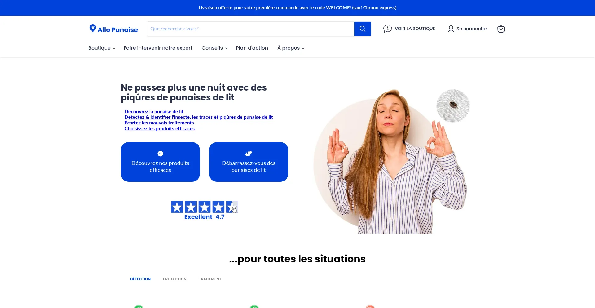 Website screenshot of Allopunaise.com
